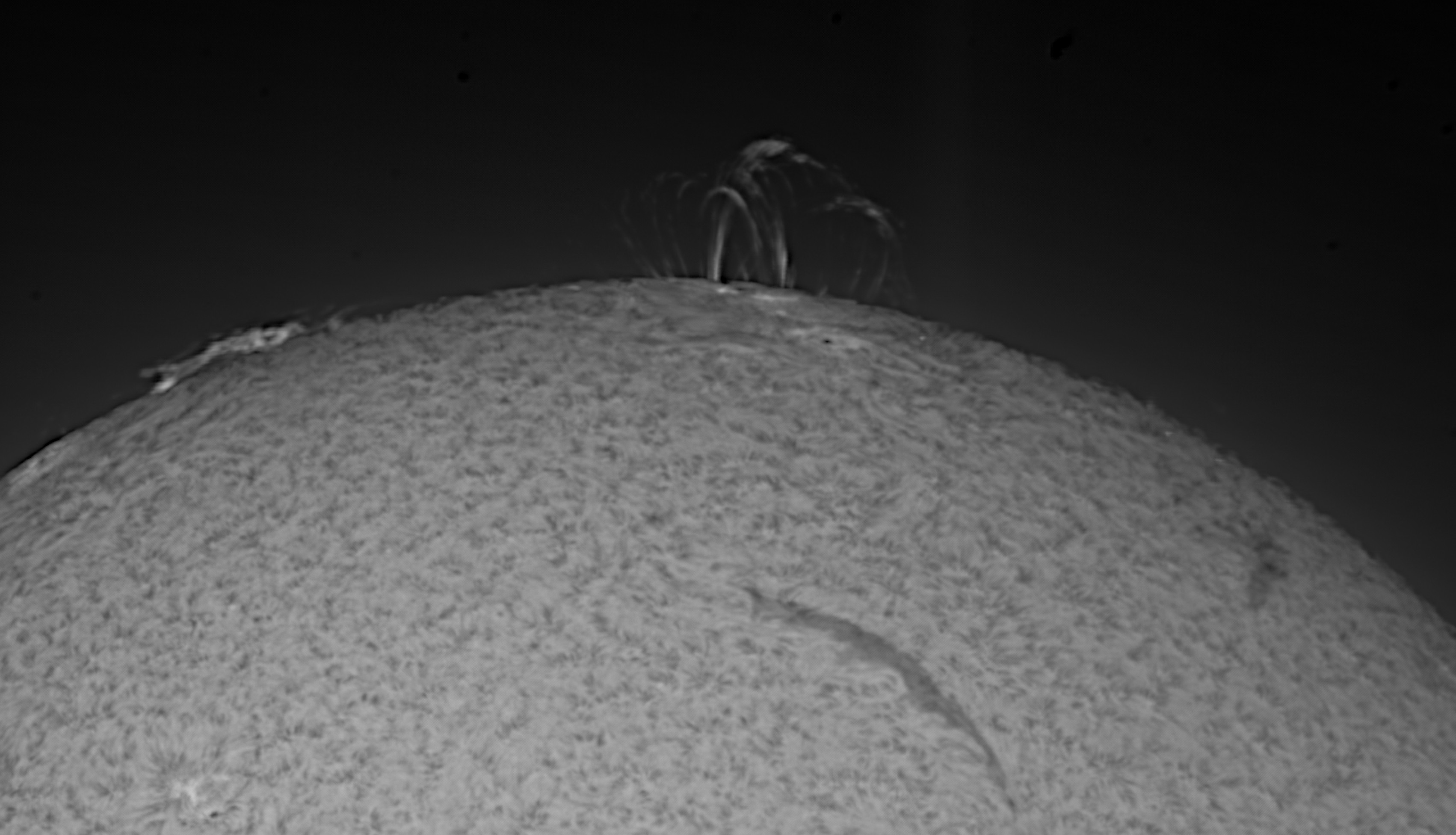 Sun-all-mono (1).jpg