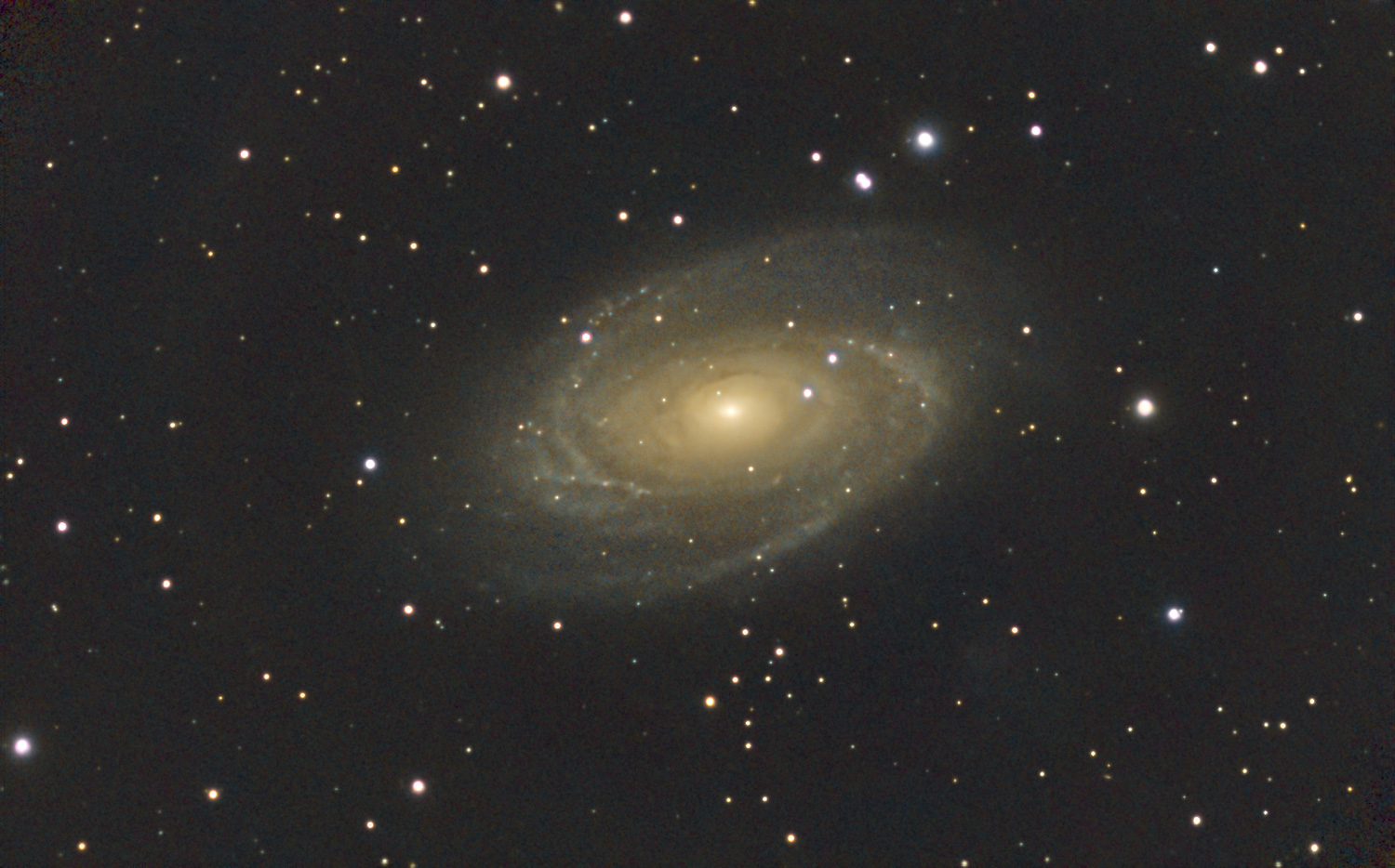 Seestar_M81_large.jpg