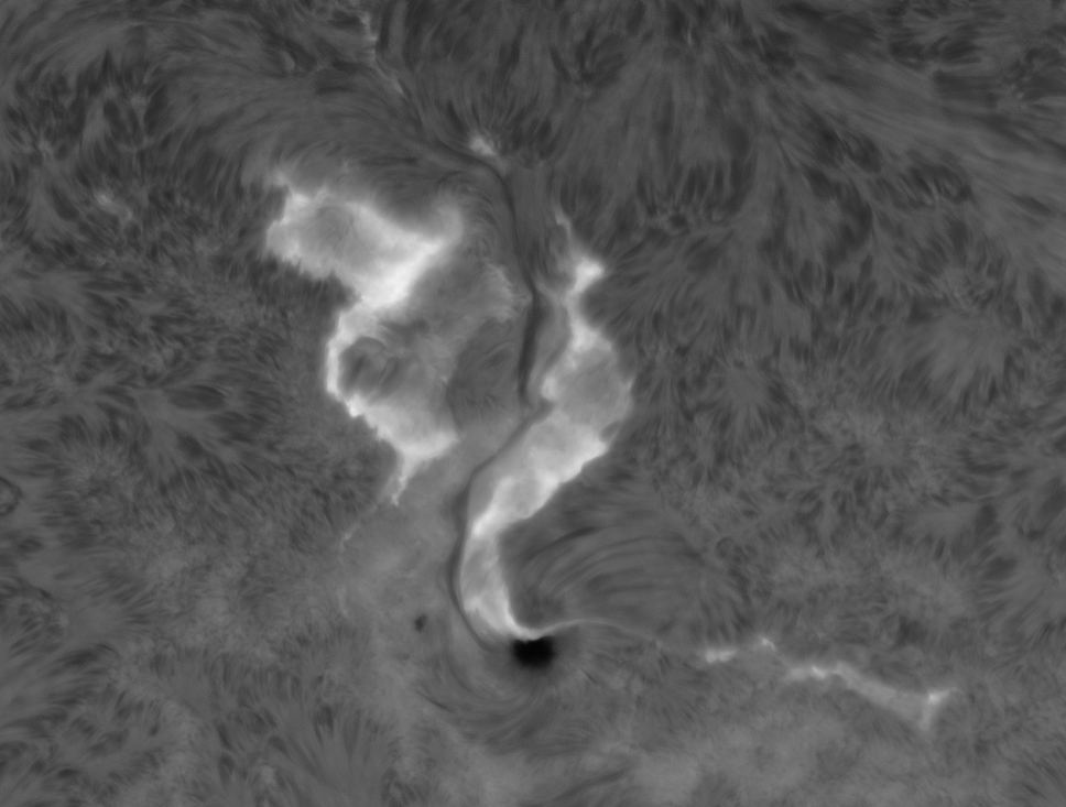 Erupce X1.1 v  AR3614, 23.3.2024, observátor David , Lunt 152mm H_alfa.png