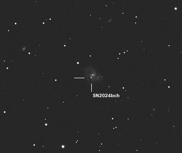 SN2024bch_400.jpg