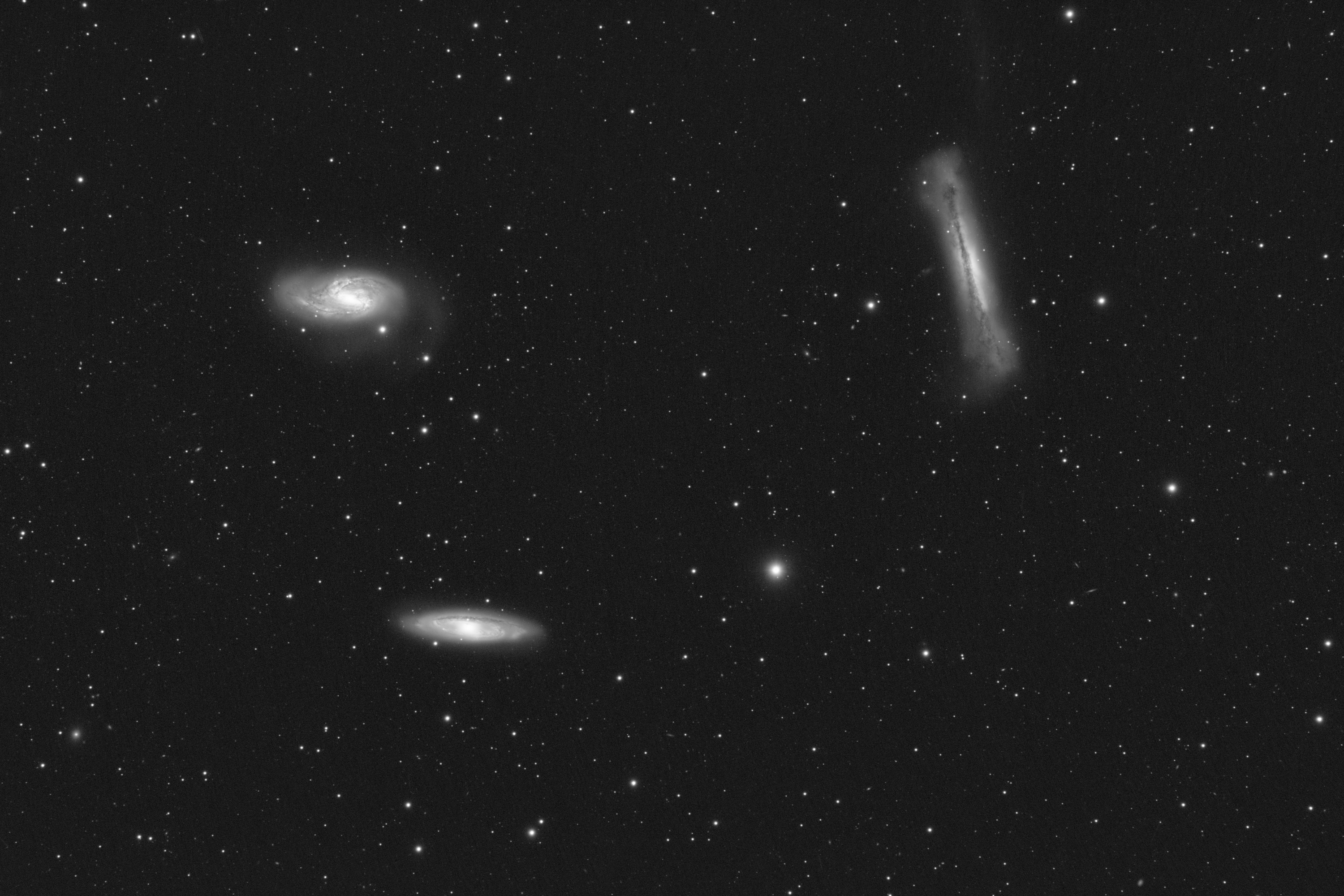 2024-04-13 Leo Triplet L.jpg