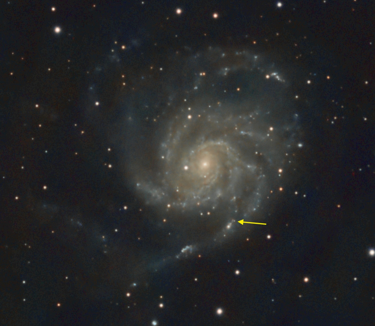 M101_SN 2023ixf.jpg