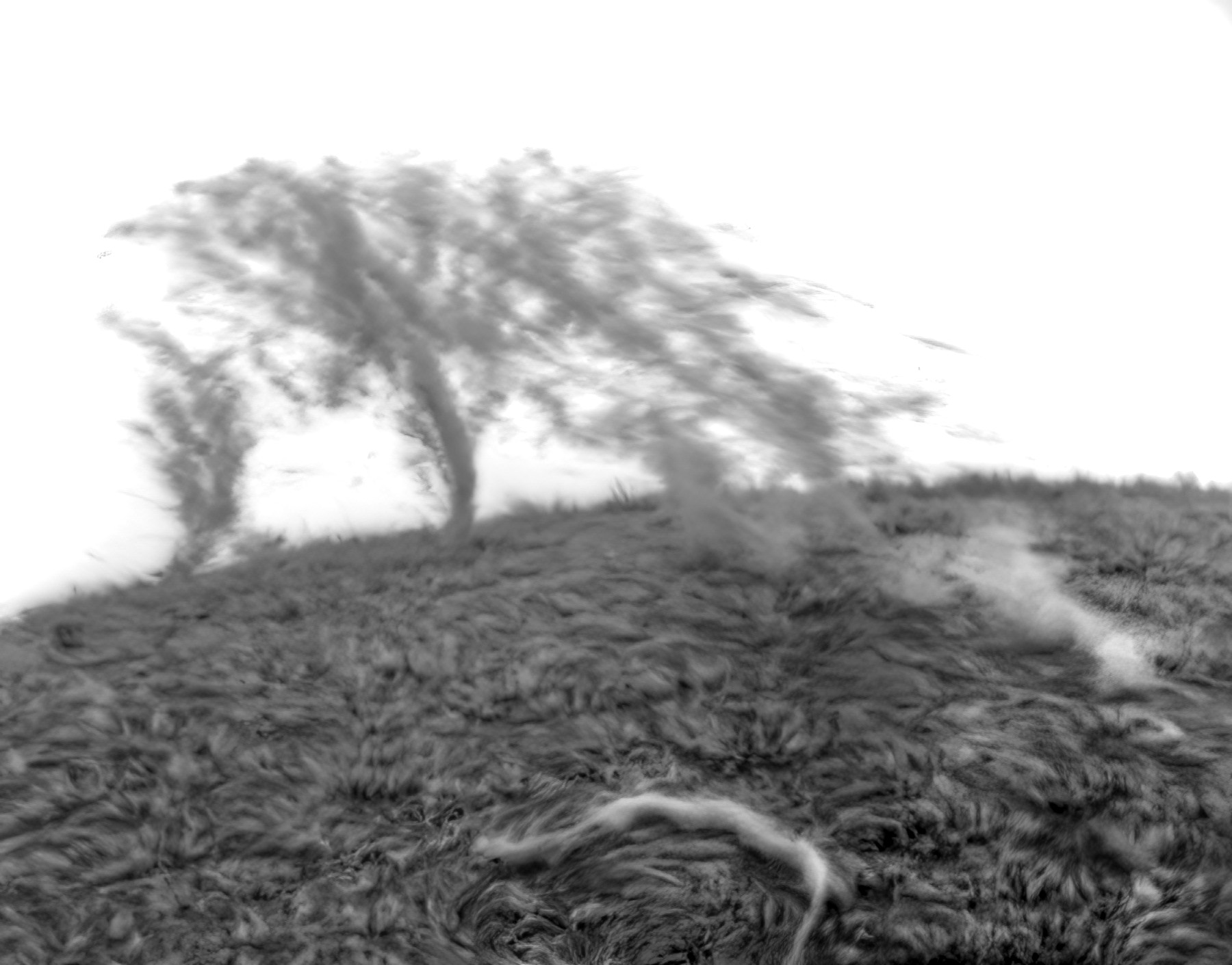 sol2_BW.jpg