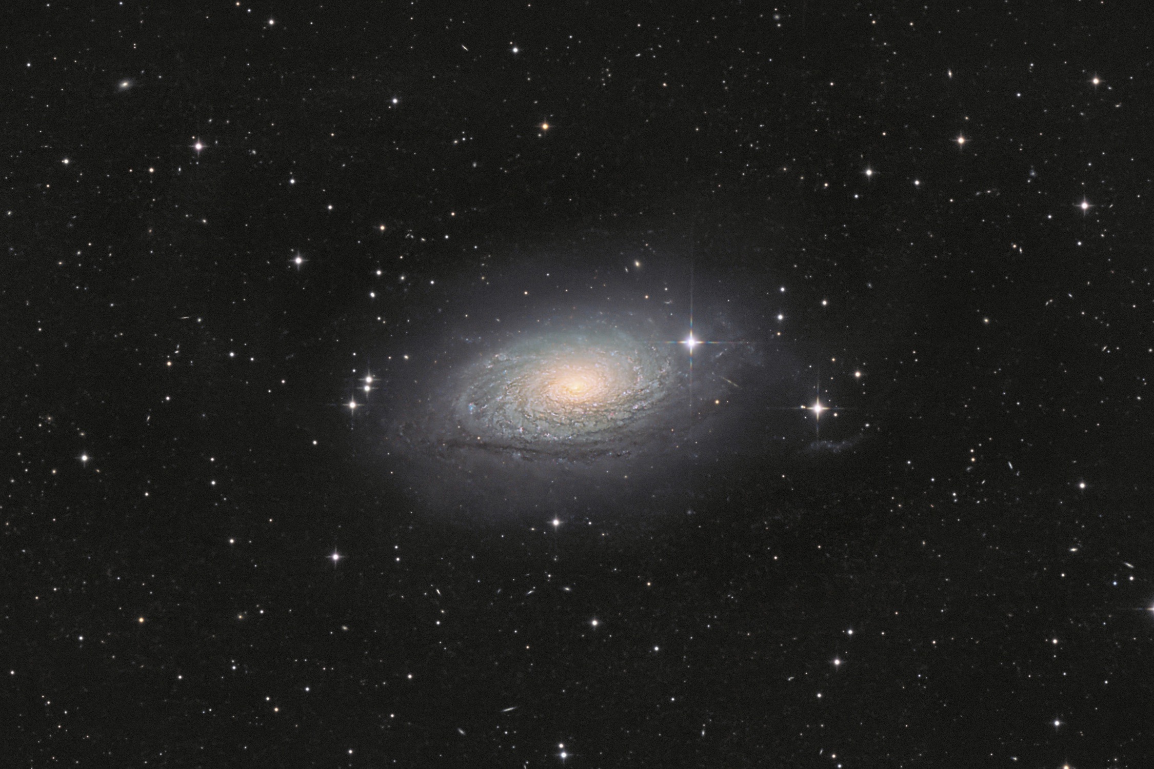 M63 -v2.jpg