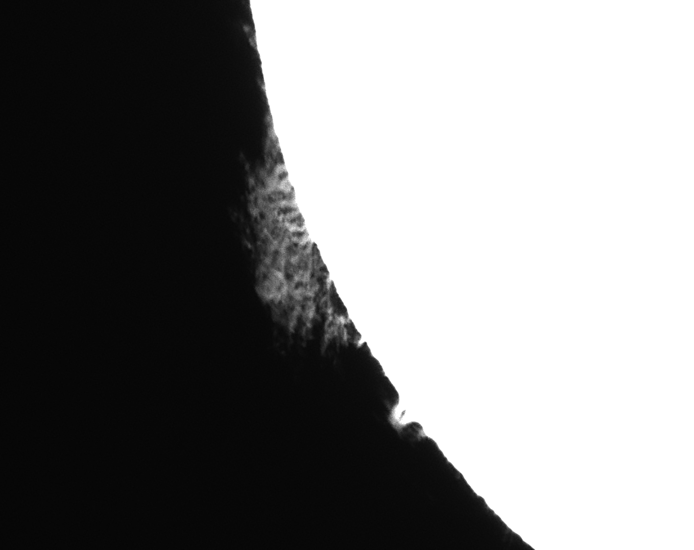 fff07_54_43_F_00000059.jpg