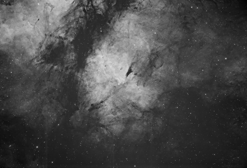 IC1318 B astro-forum.jpg