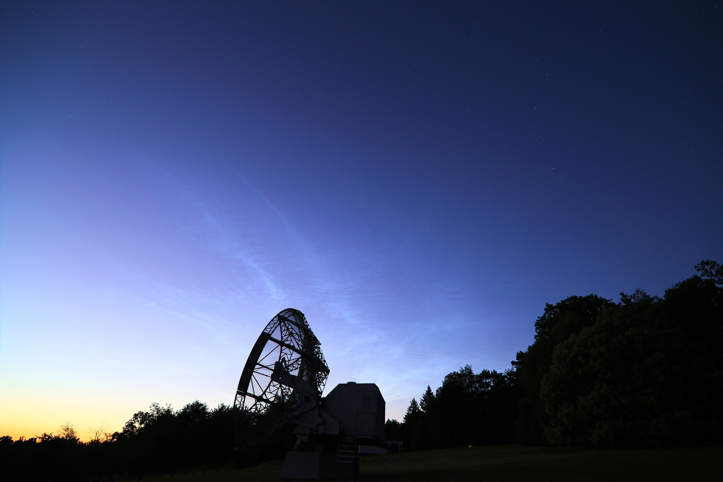 nlc1.jpg
