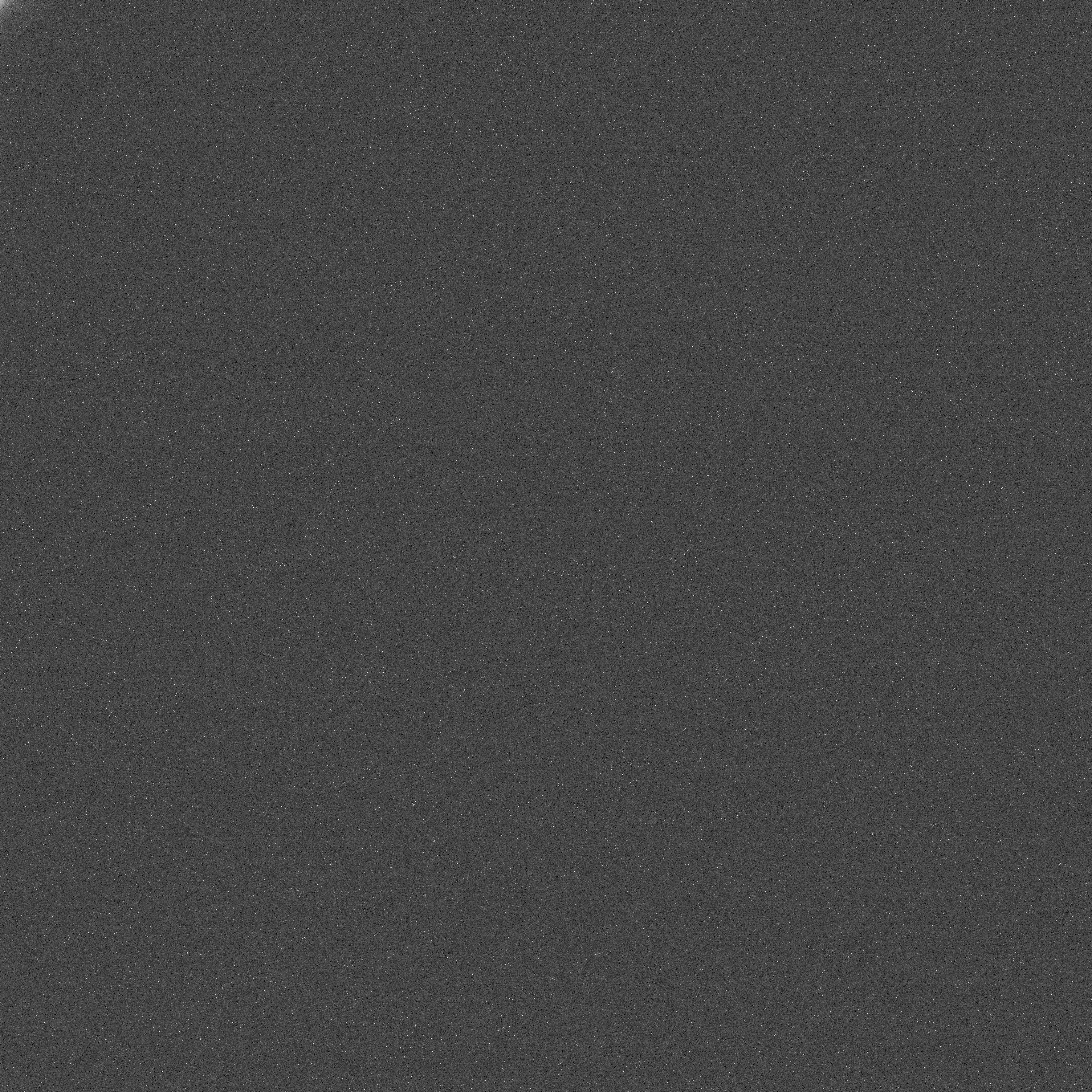 Light_005.jpg
