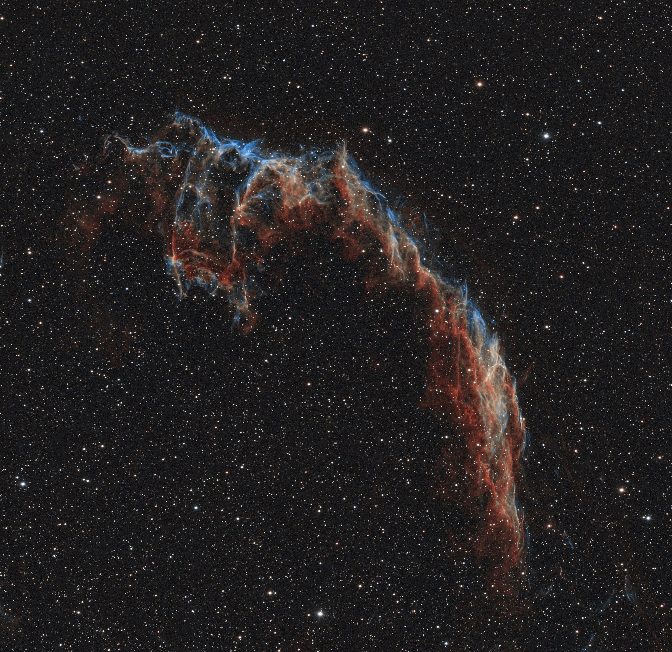 NGC6995~2.jpg