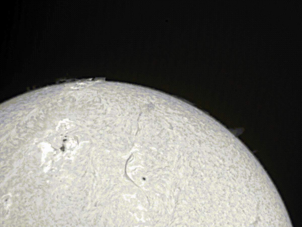 Sun_halpha_130824h (2).gif