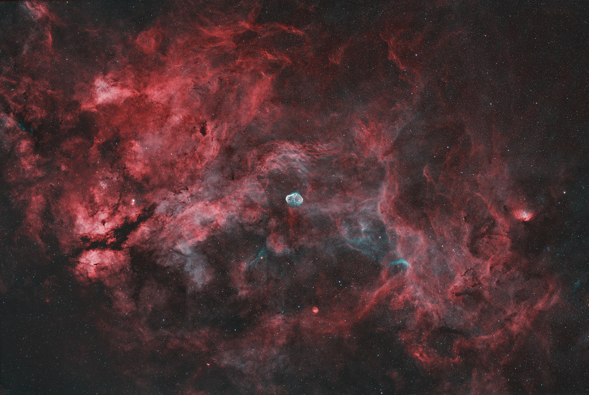 NGC6888_wide_V2 copy.jpg