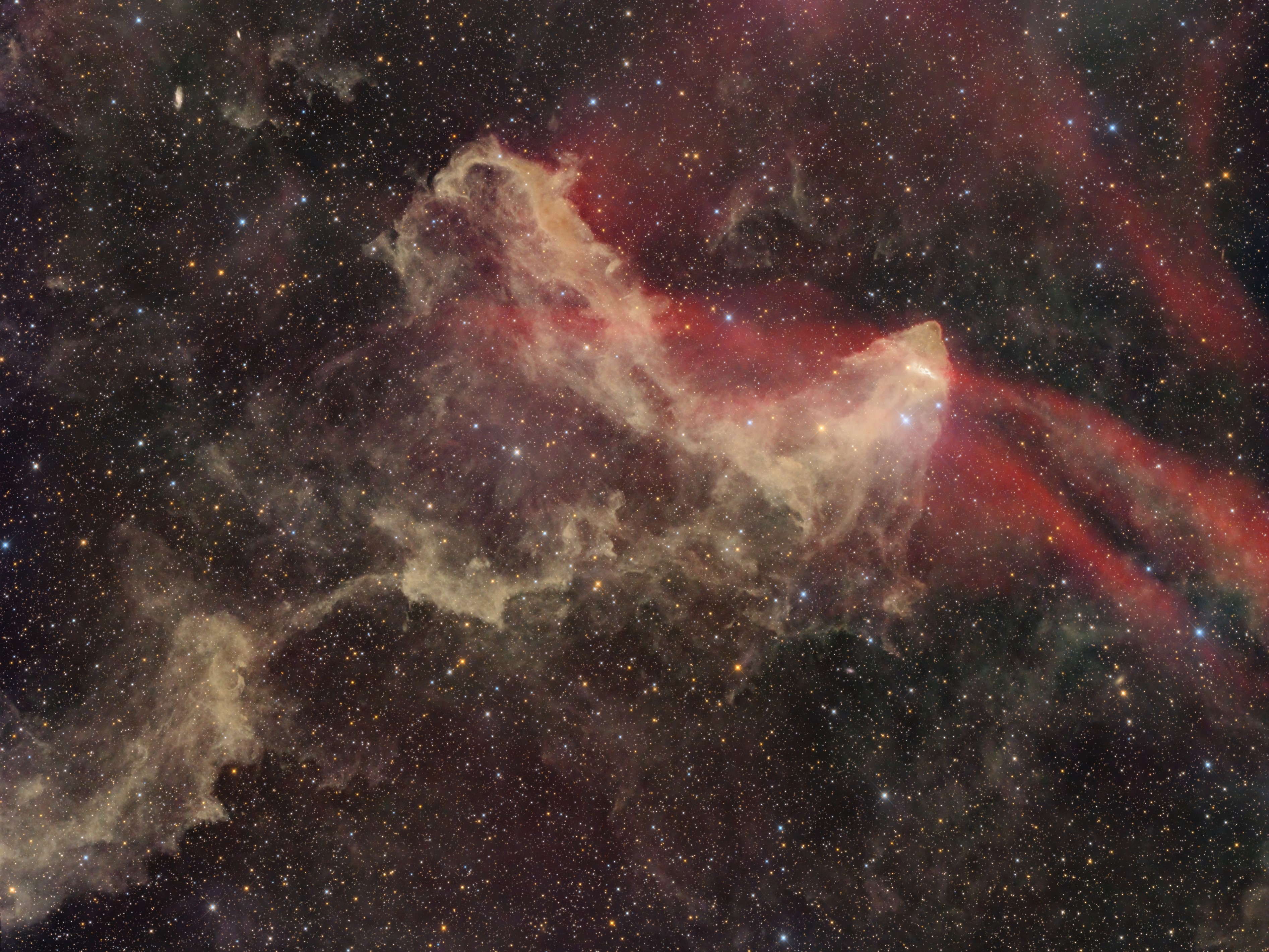 LBN 437_Gecko_AF.jpg