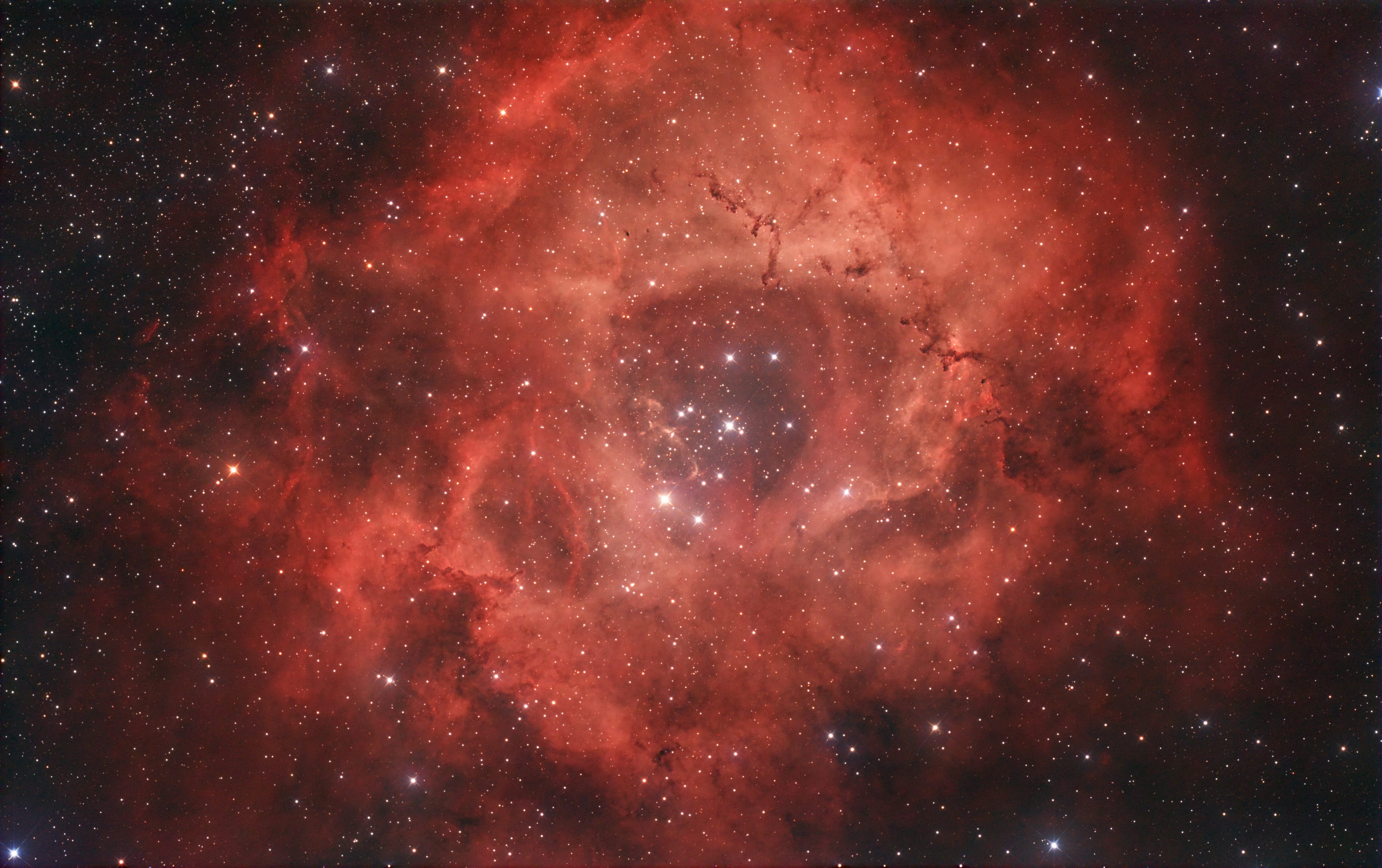 AF_peto_NGC2237.jpg