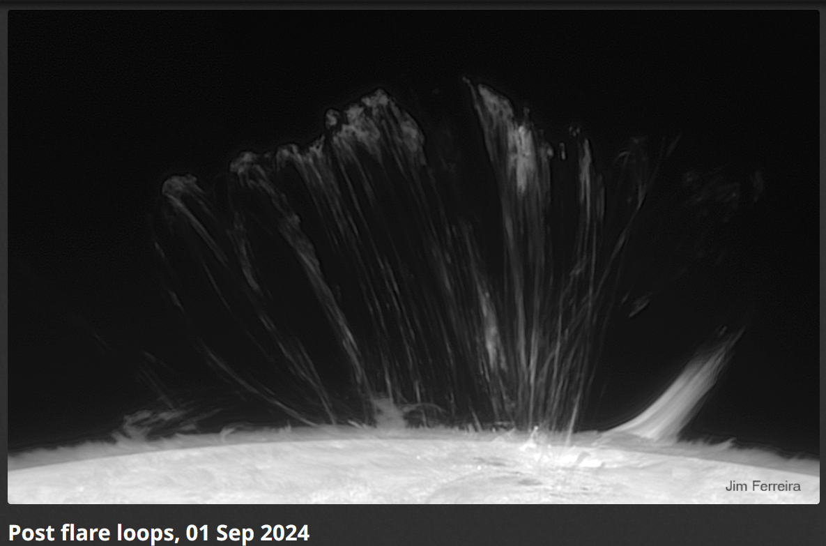 Post flare loops, 1.září 2024, Jim Ferreira.png