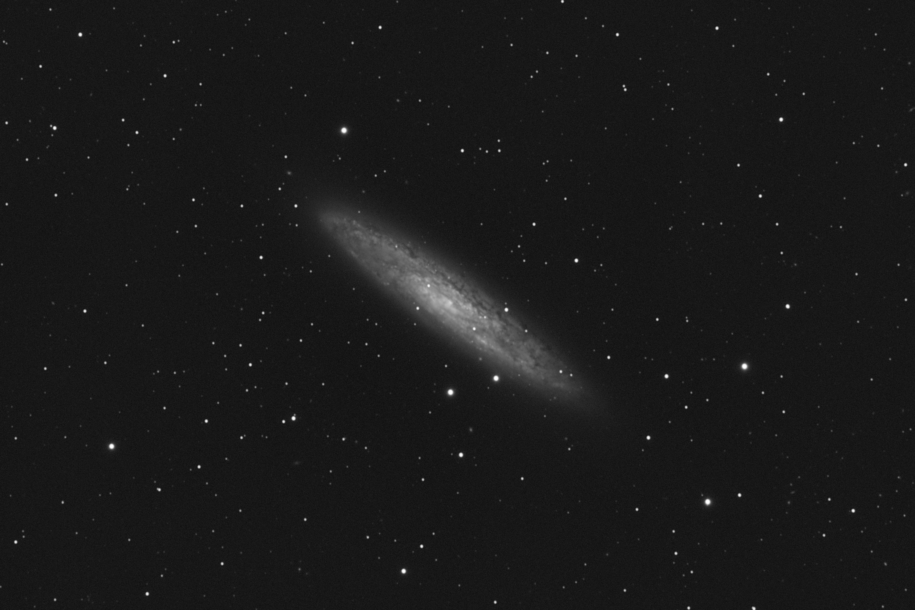 2024-09-07 NGC253.jpg