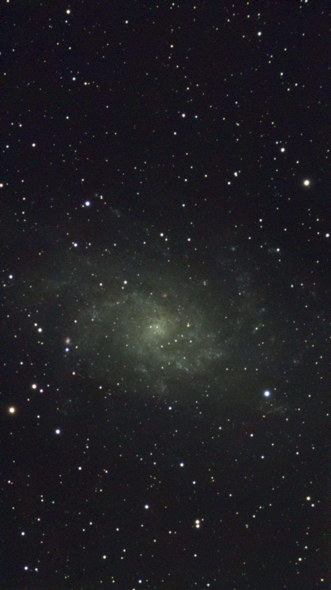 Stacked_648_NGC 595_10.0s_IRCUT_20240908-011815.jpg