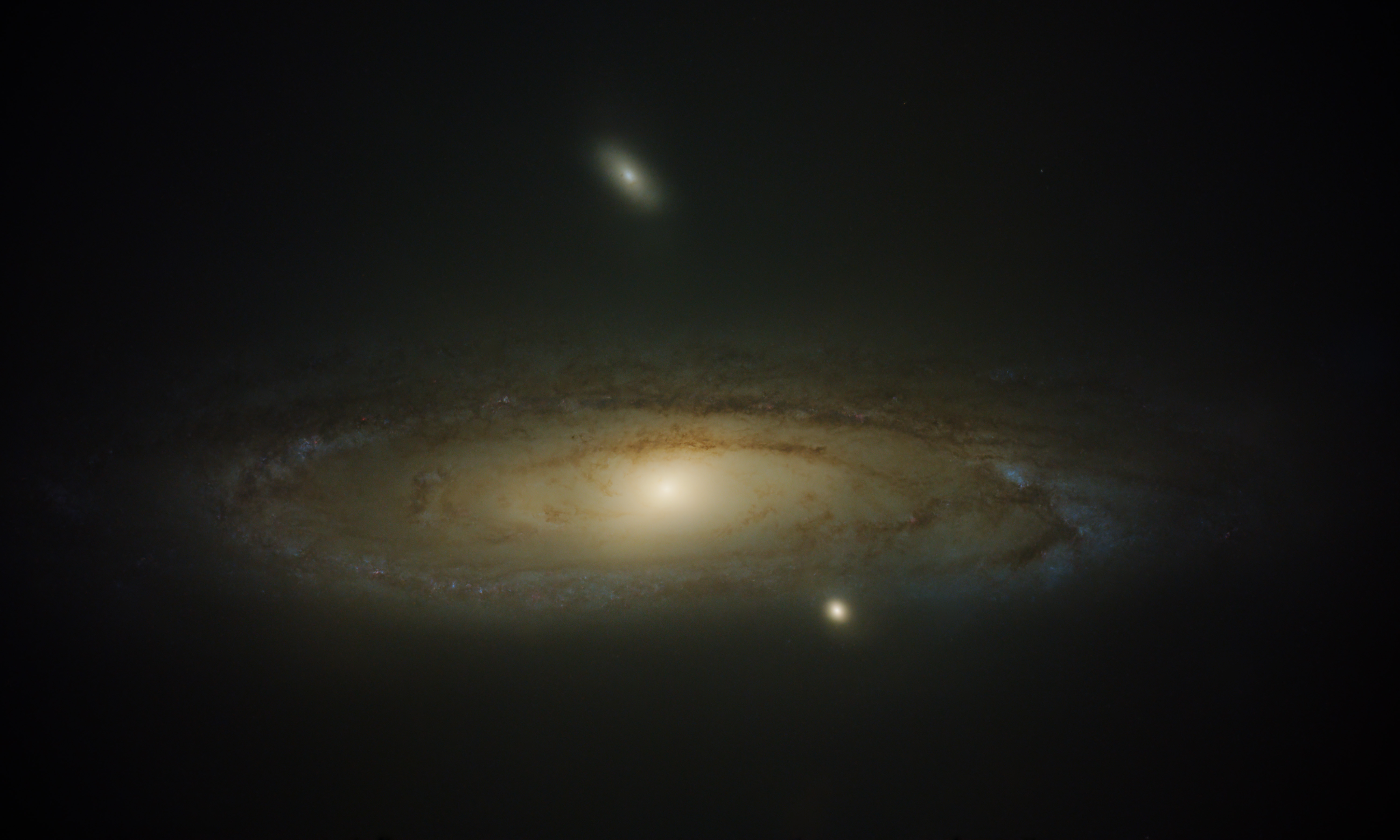 M31_2024-09-192 x 120s_PI2_galaxy.jpg