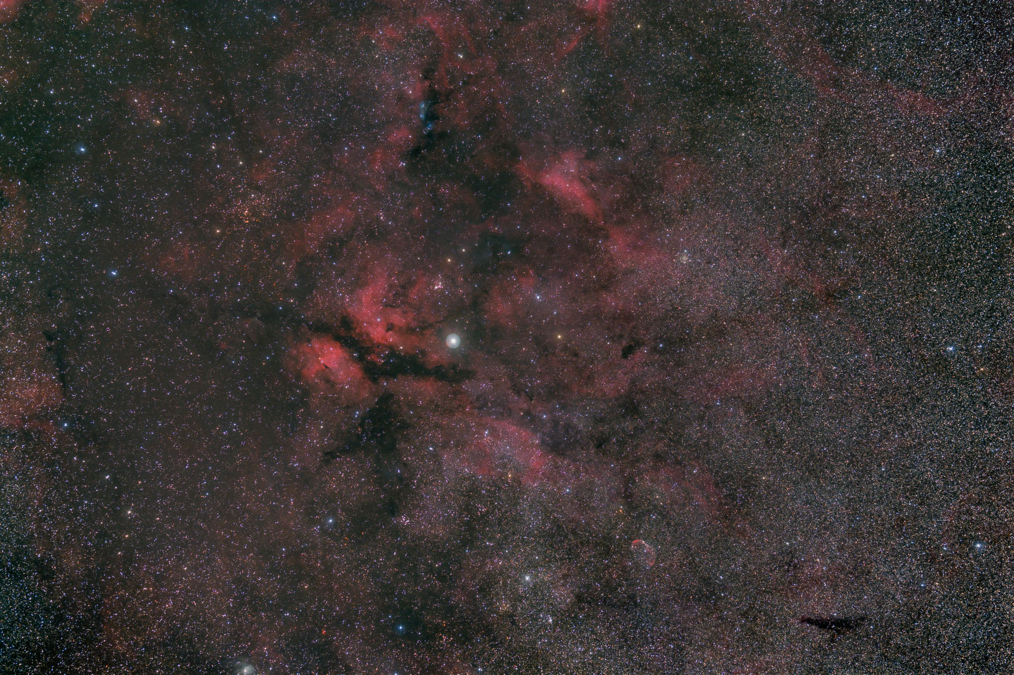 Cygnus region.jpg