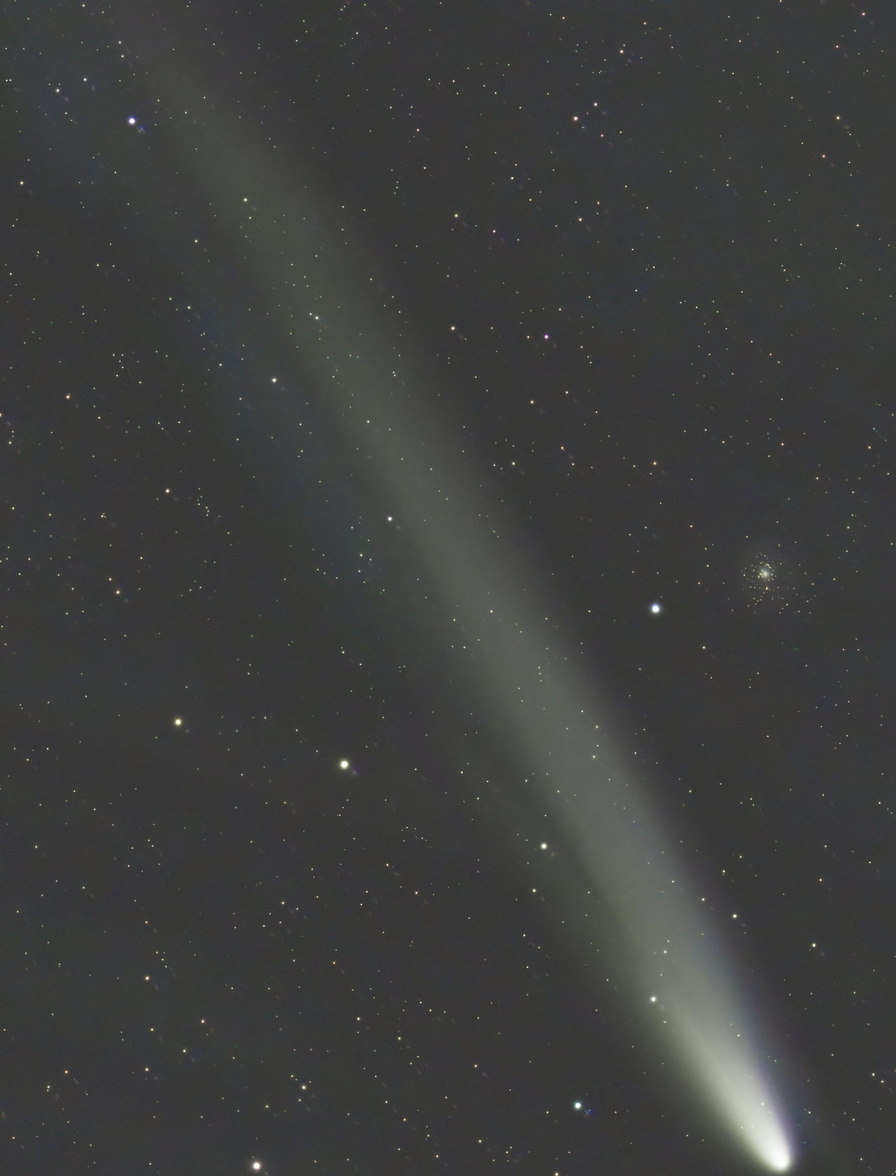 Image36_crop_ion.jpg