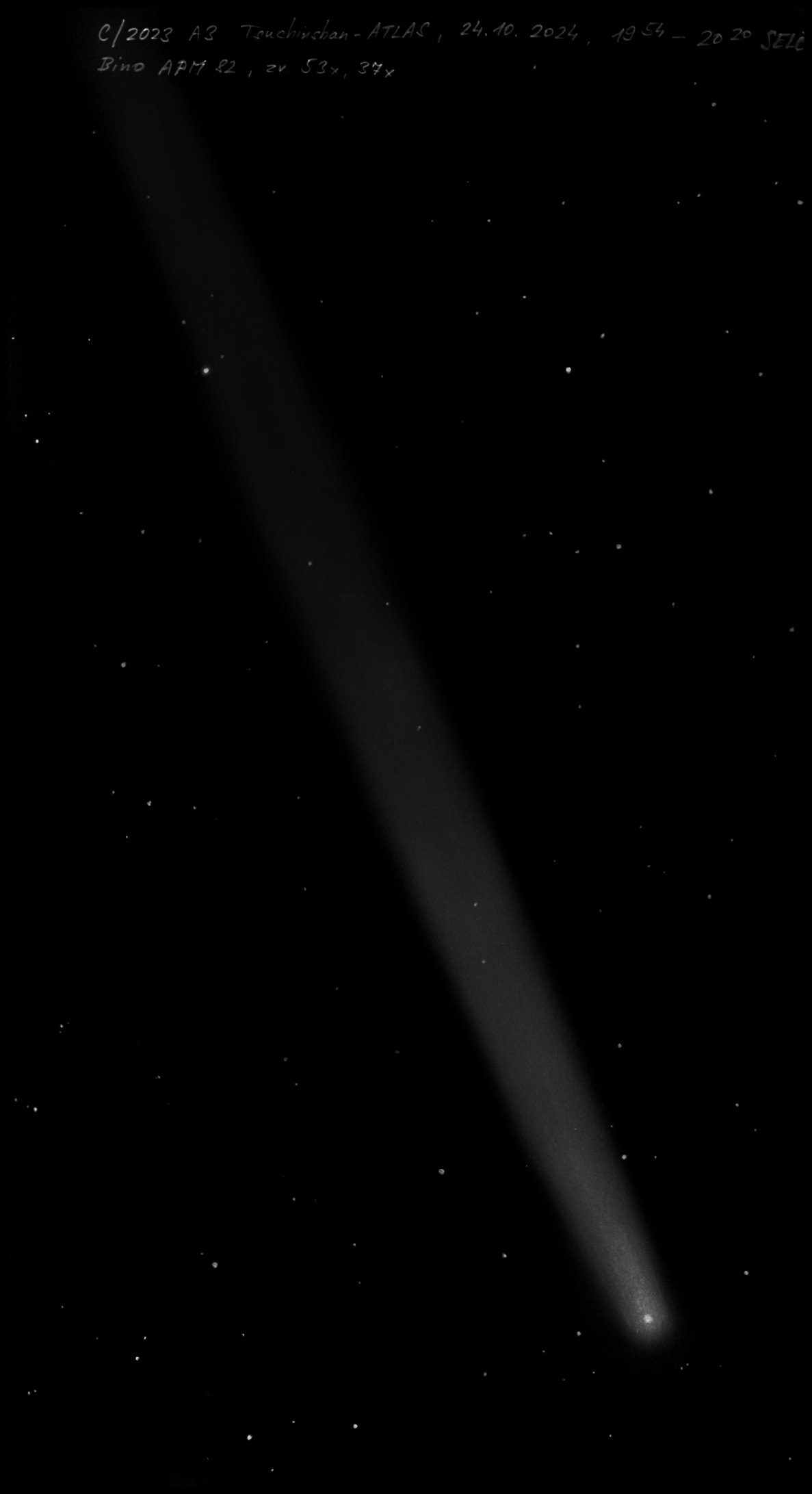 C2023 A3 Tsuchinshan–ATLAS web.jpg