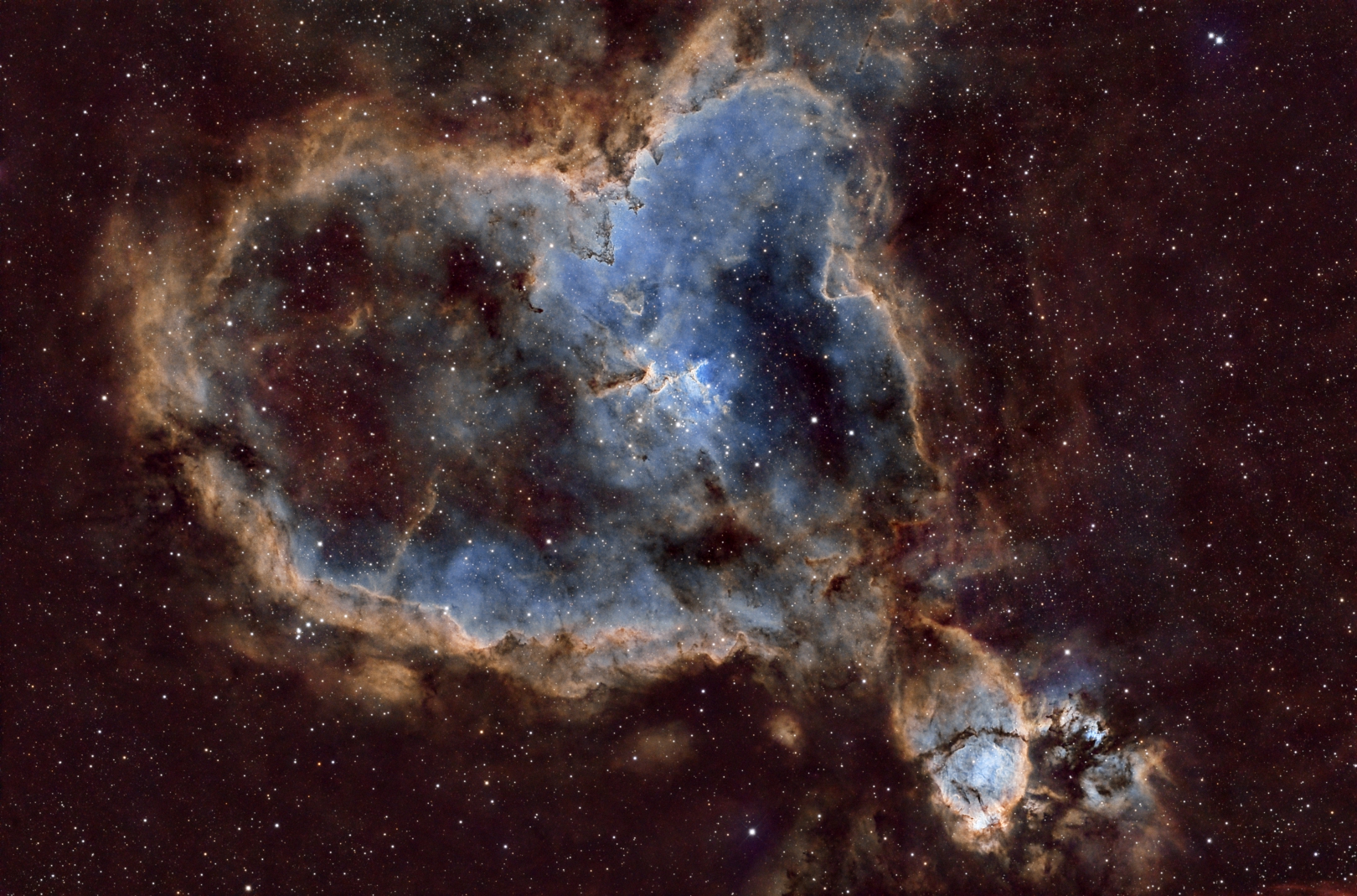 IC1805_SHO_fb.jpg
