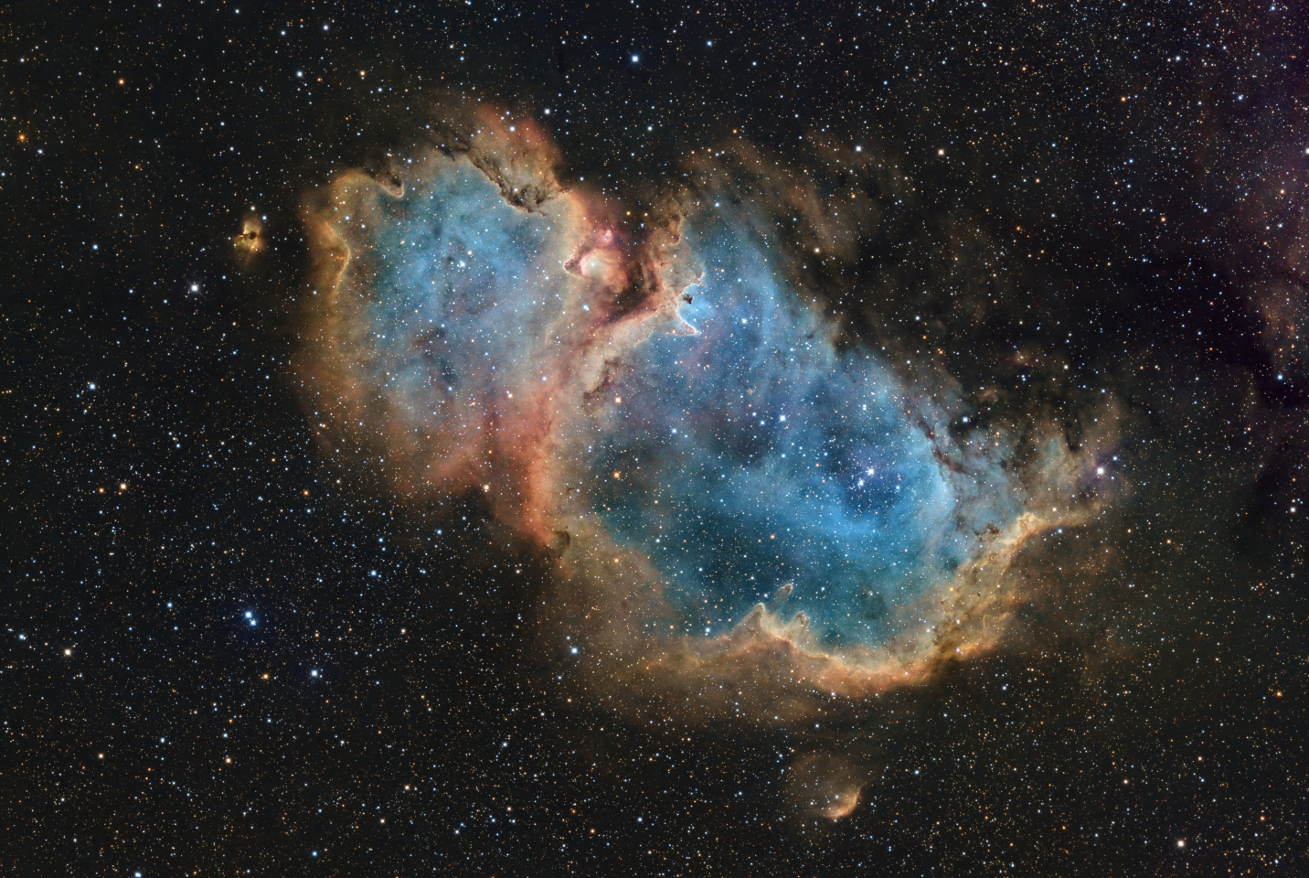 IC1848_SHO_fb2.jpg