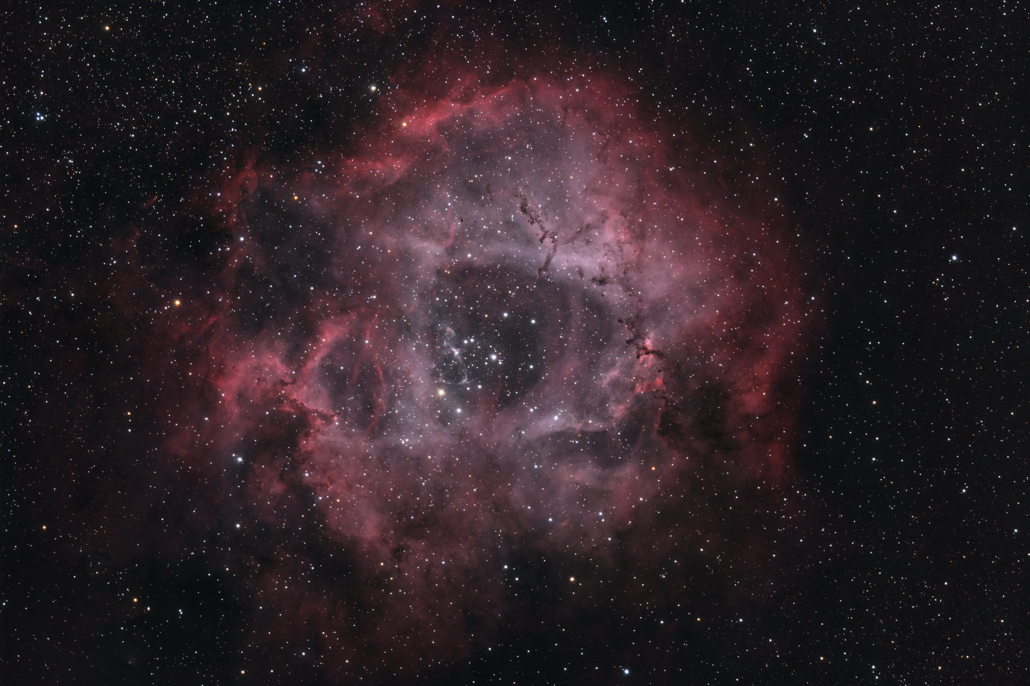2024-12-25 NGC2237 Af.jpg