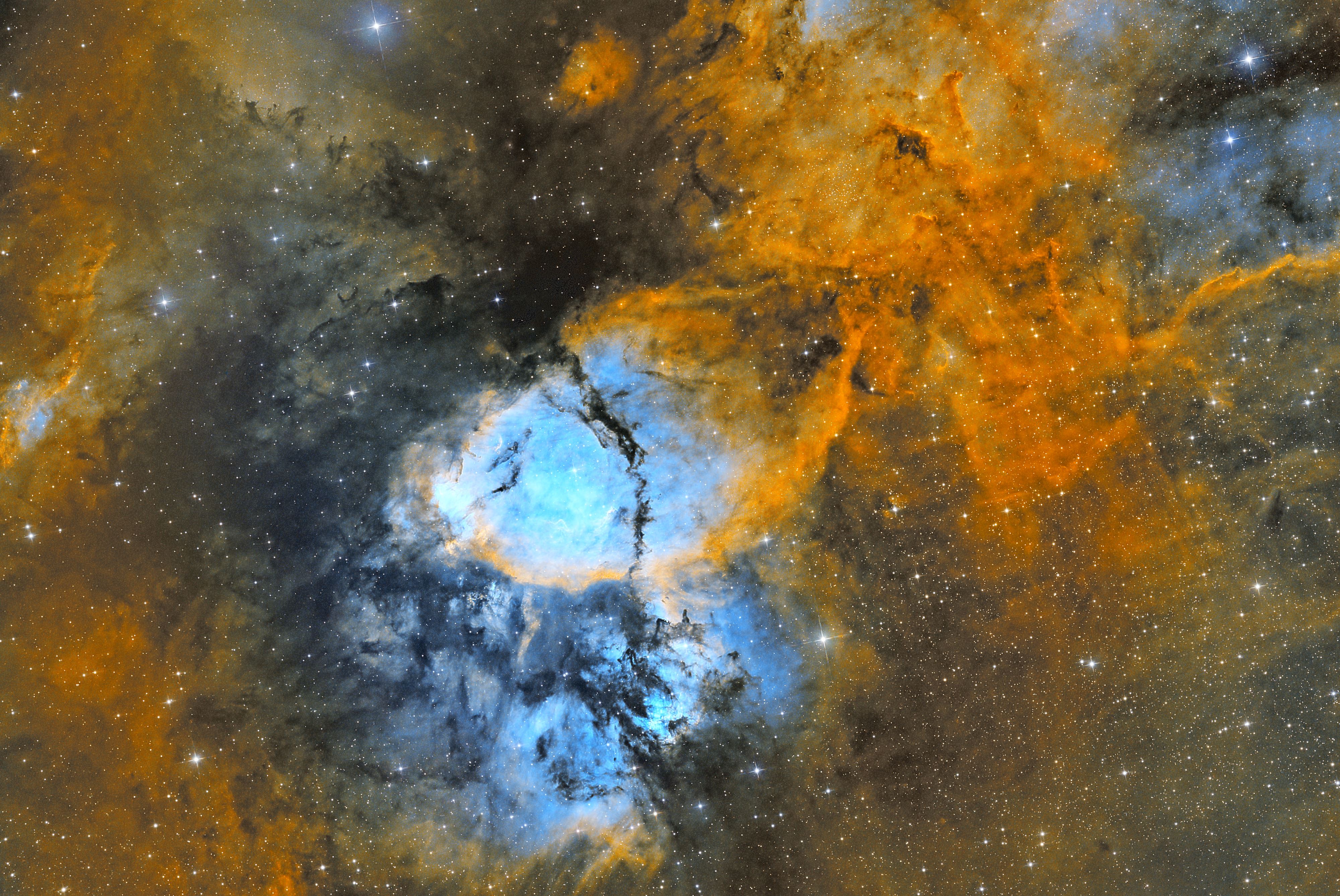IC1795_SHO.jpg