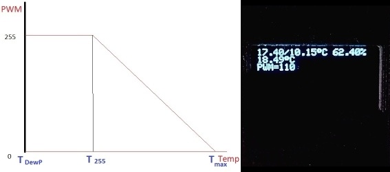 GrafRosMini - Kopie.jpg