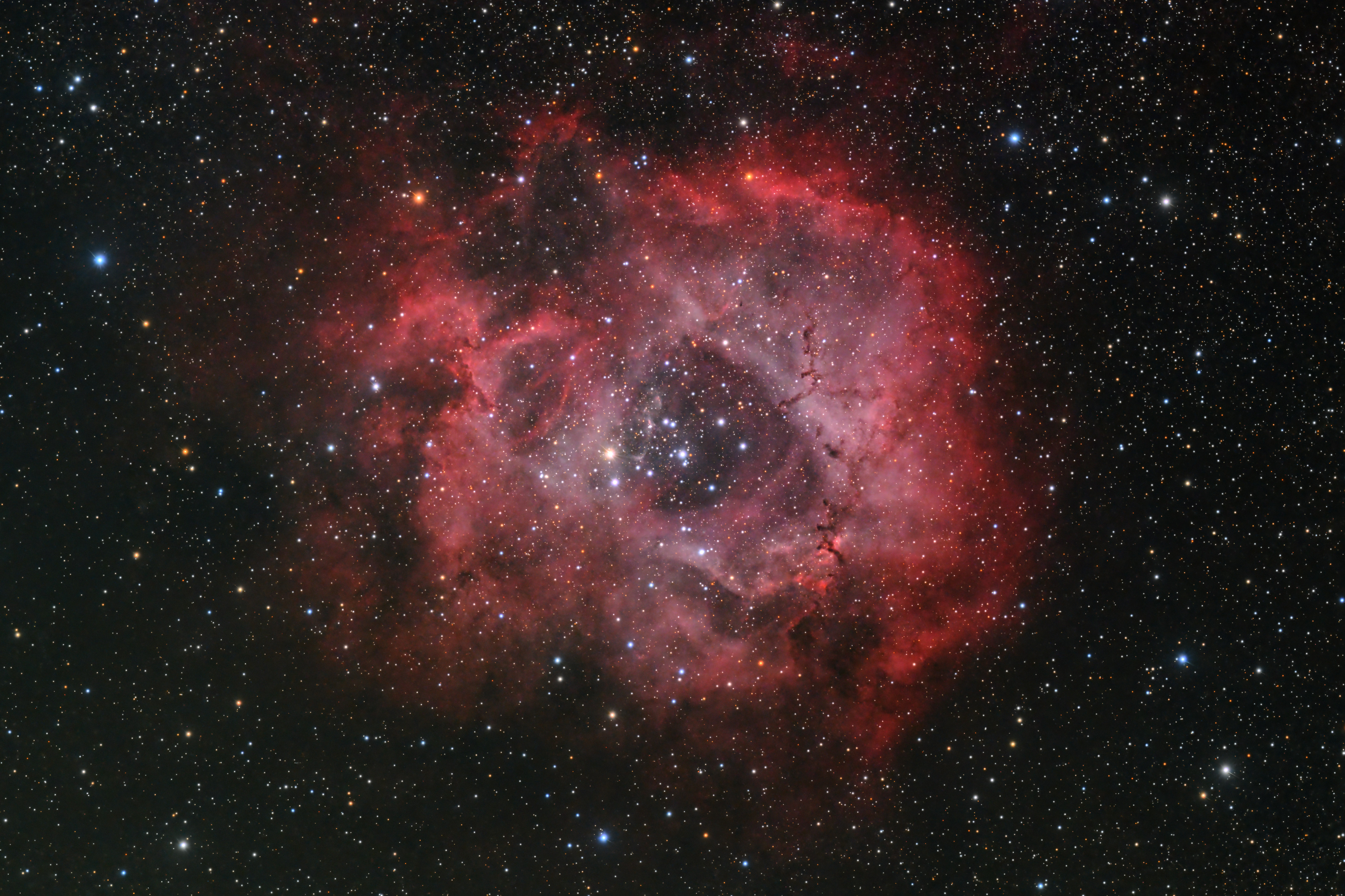 NGC2244_2025-02-03_35 x 180s_LP.jpg