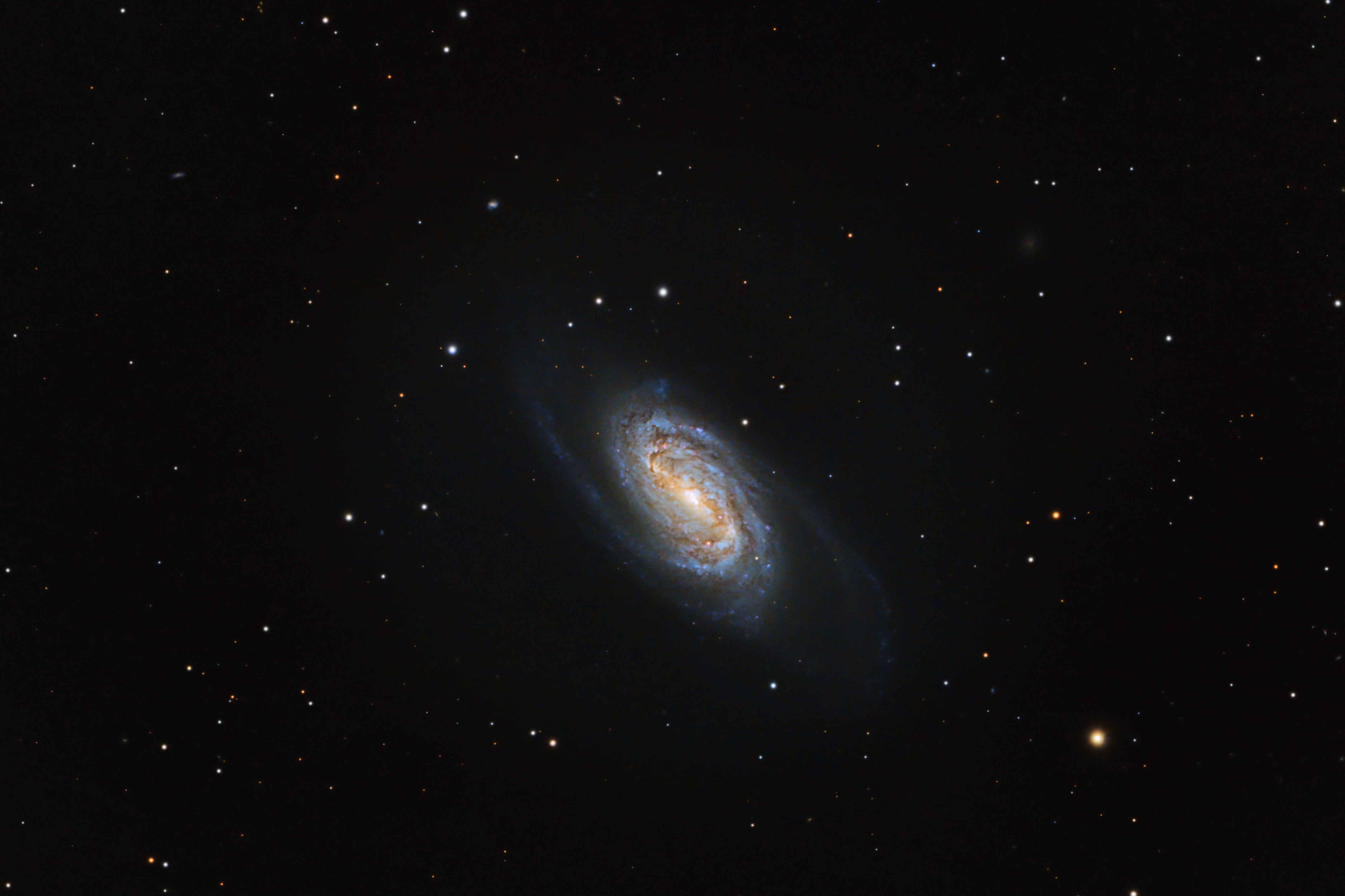 NGC2903_2025-01-29_82 x 120s_PI2.jpg