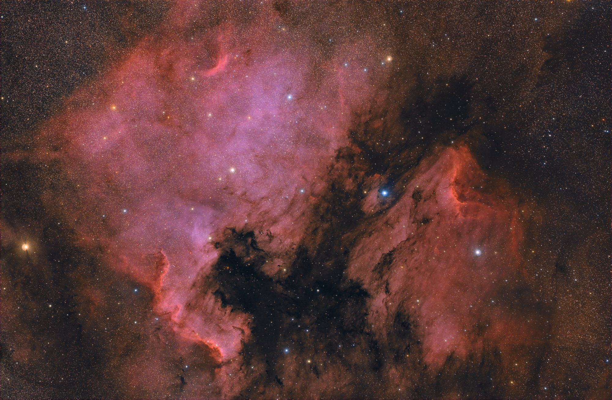20241011 AmericaPelican NGC7000 Kowa350 ASI071 50x240s RedCat250 ASI1600Ha 180x60s 2000px.jpg