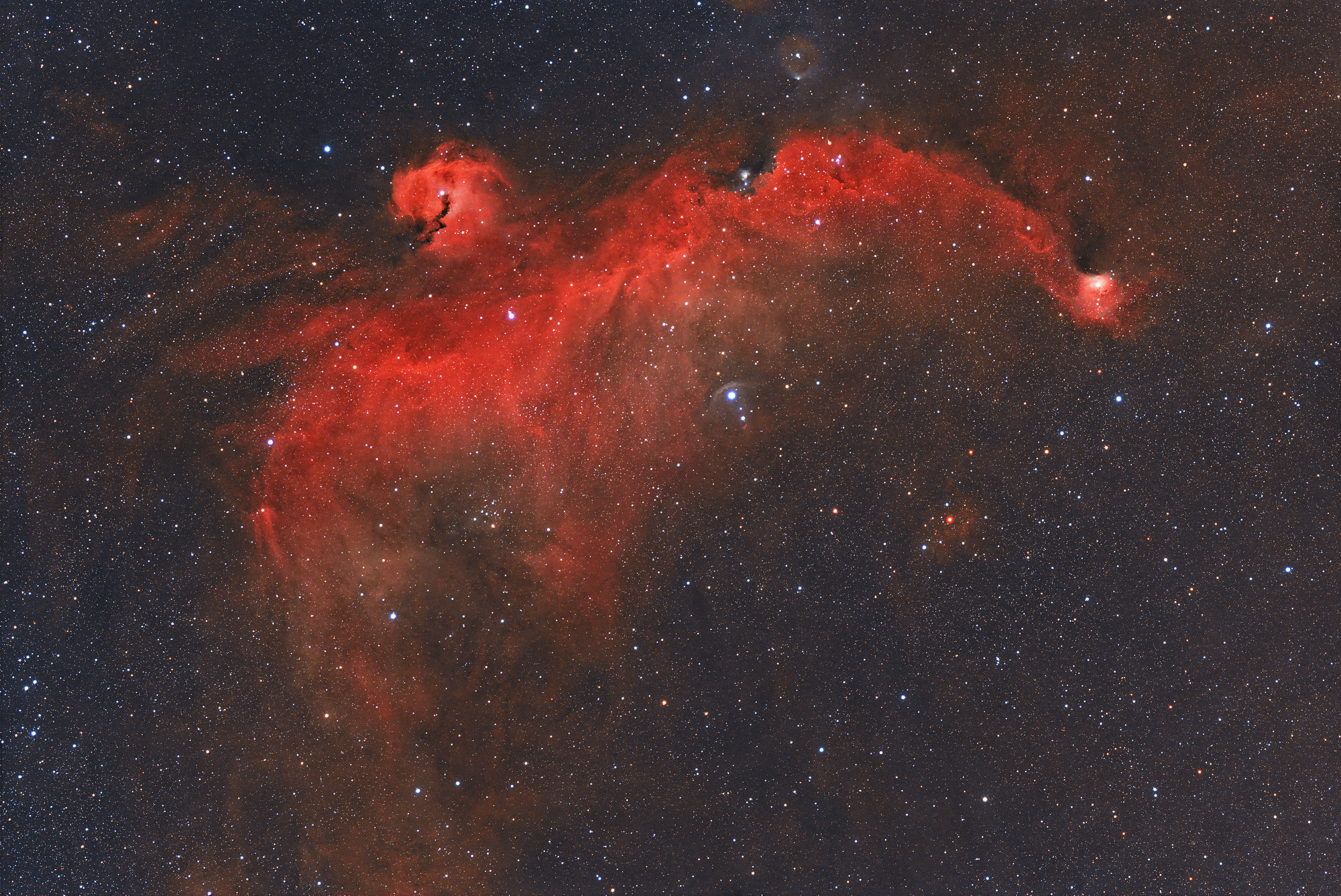 20250218 Racek Kowa350 ASI2600 AskarC1 76x240s Zlutice processed 2000px.jpg