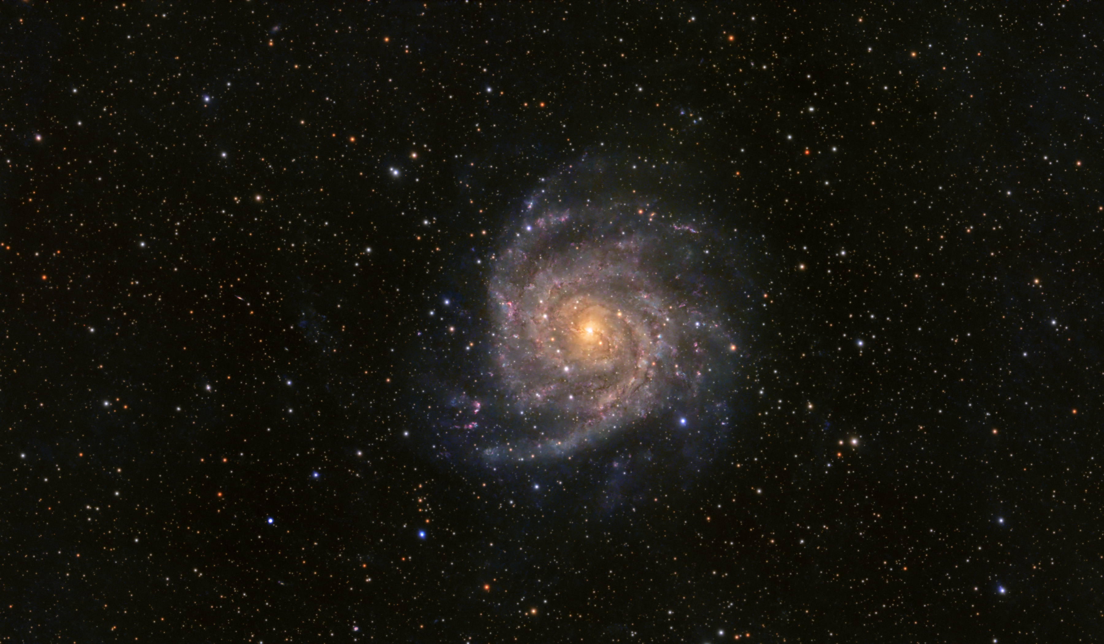 IC 342_2025-02-23_115 x 15s_2025-03-02_186 x 30s_PI.jpg