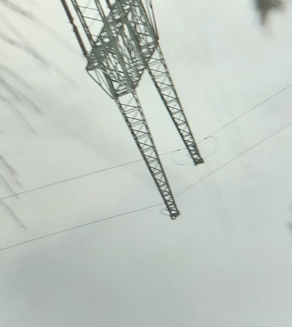 20250310_143544.jpg