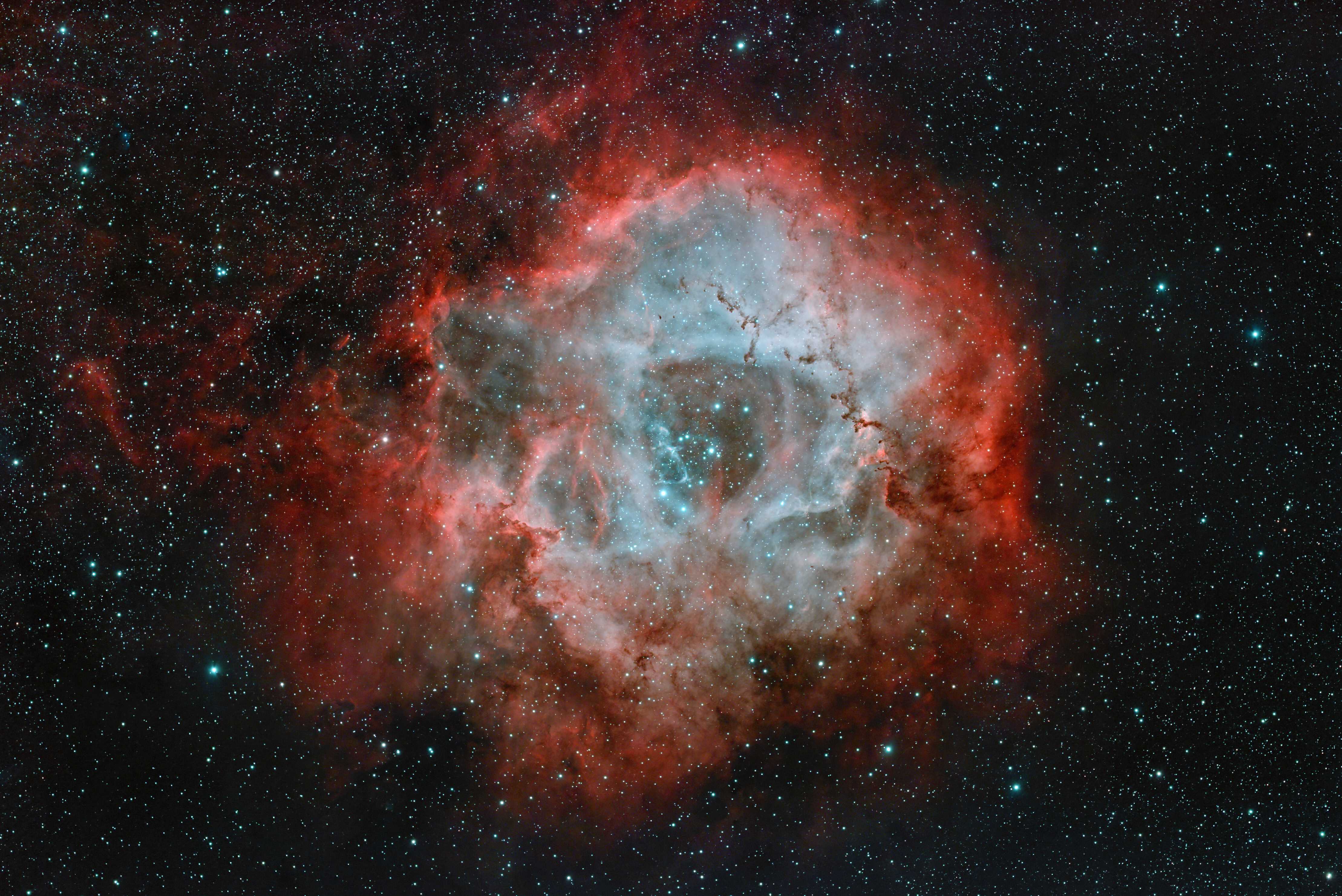 2244web.jpg