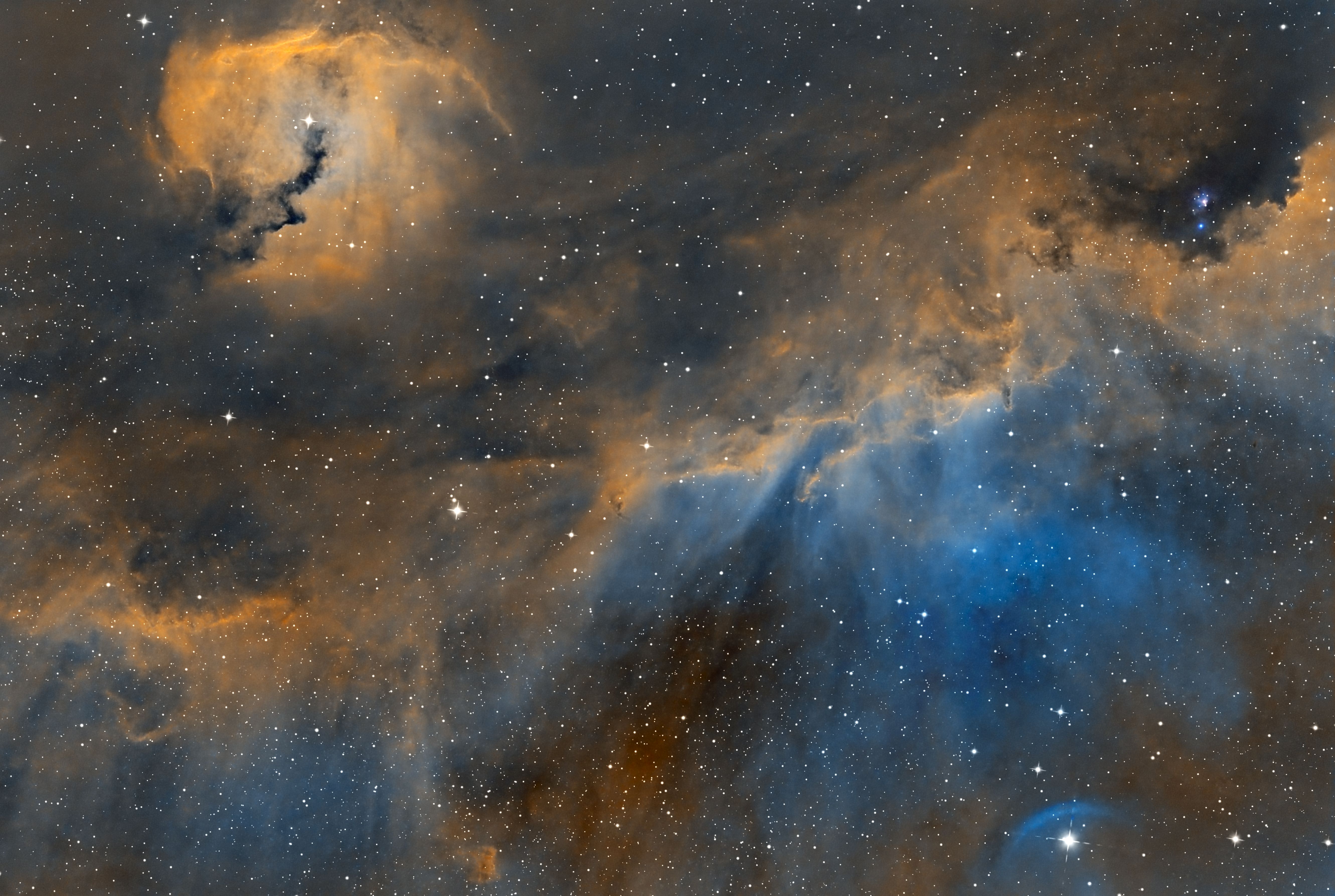 IC2177_racek_SHO_D.jpg