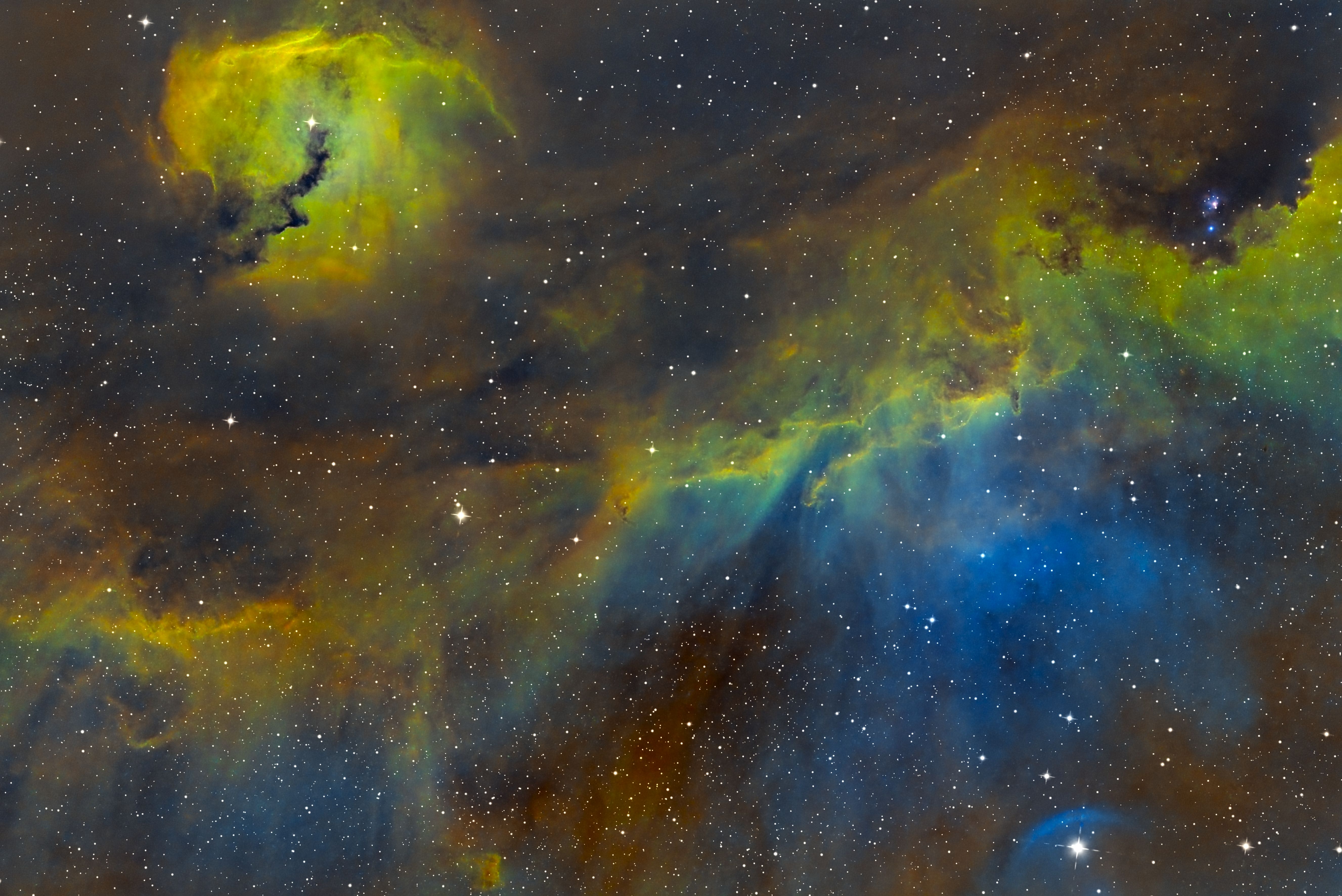 IC2177_racek_SHO_G.jpg