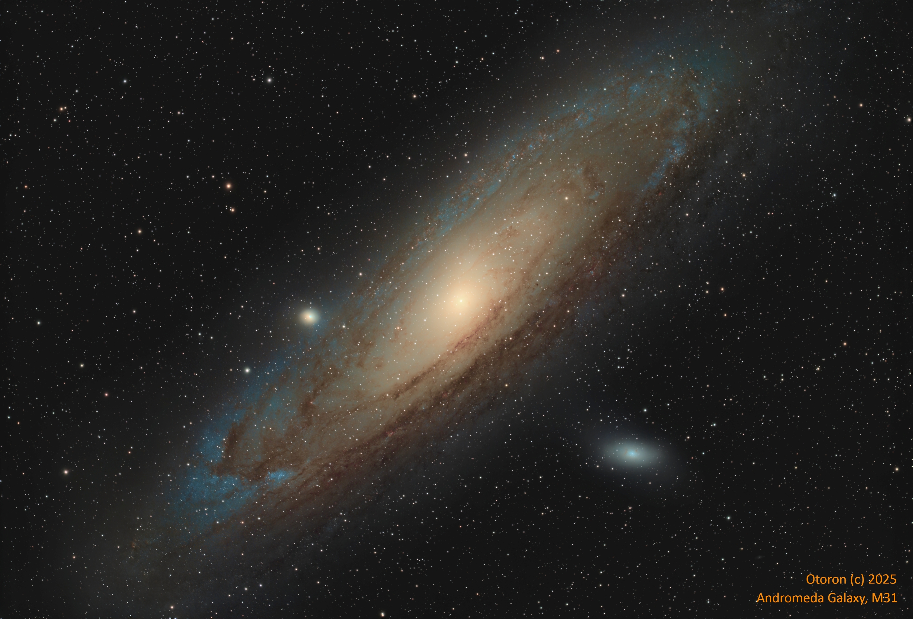 Andromeda Galaxy 2025 Signed (80).jpg