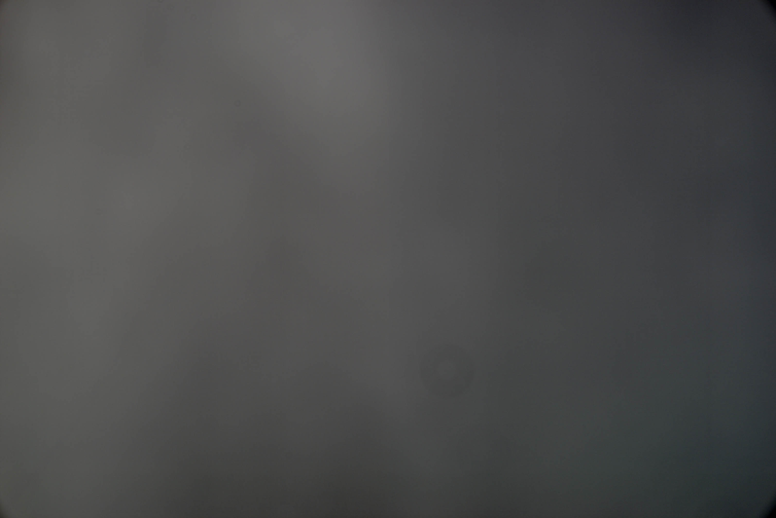 test.jpg