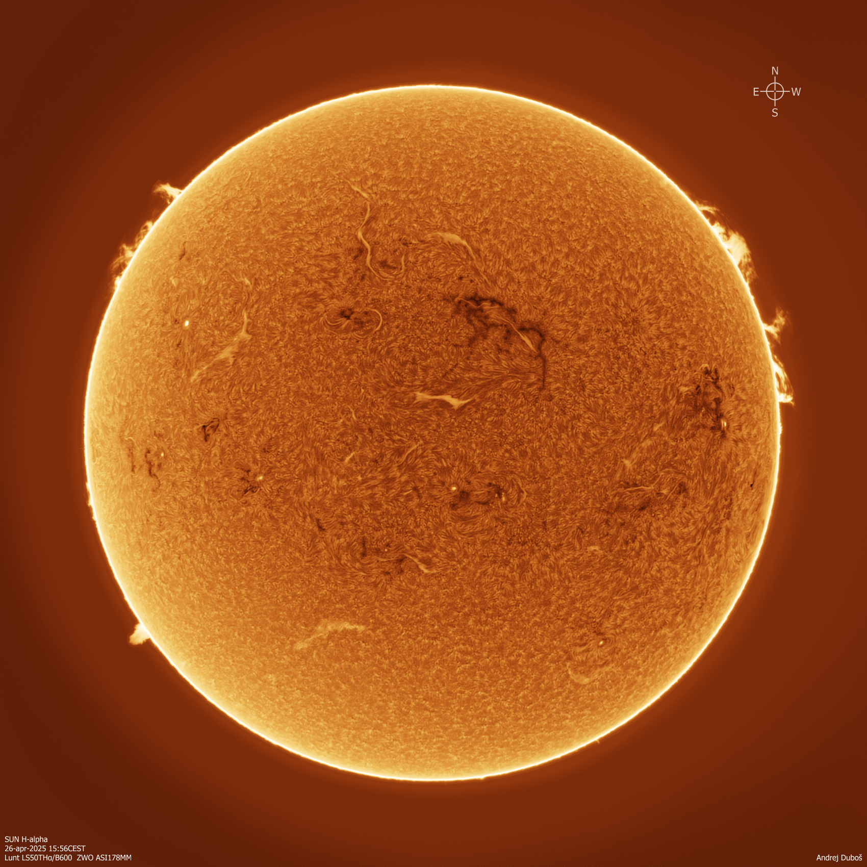2025-04-26_15-56CEST Halpha INVERT.jpg