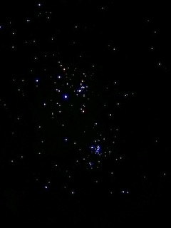 IMG_3985.jpeg