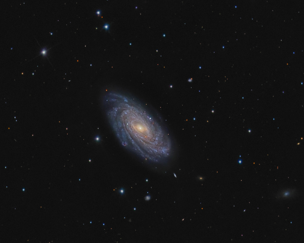 n3953.jpg