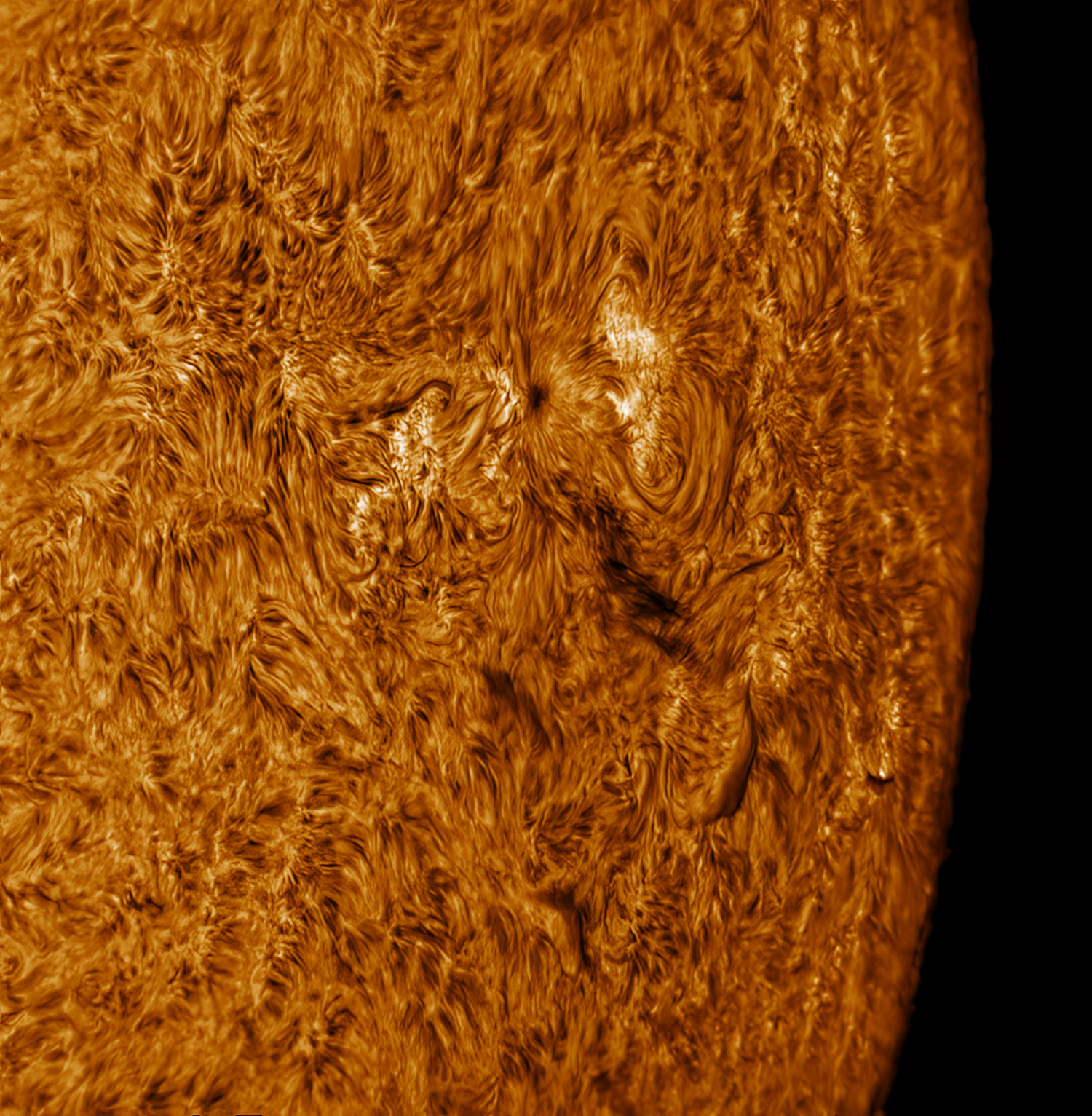 AR150/F36,DSII,IMX533 BIN1
