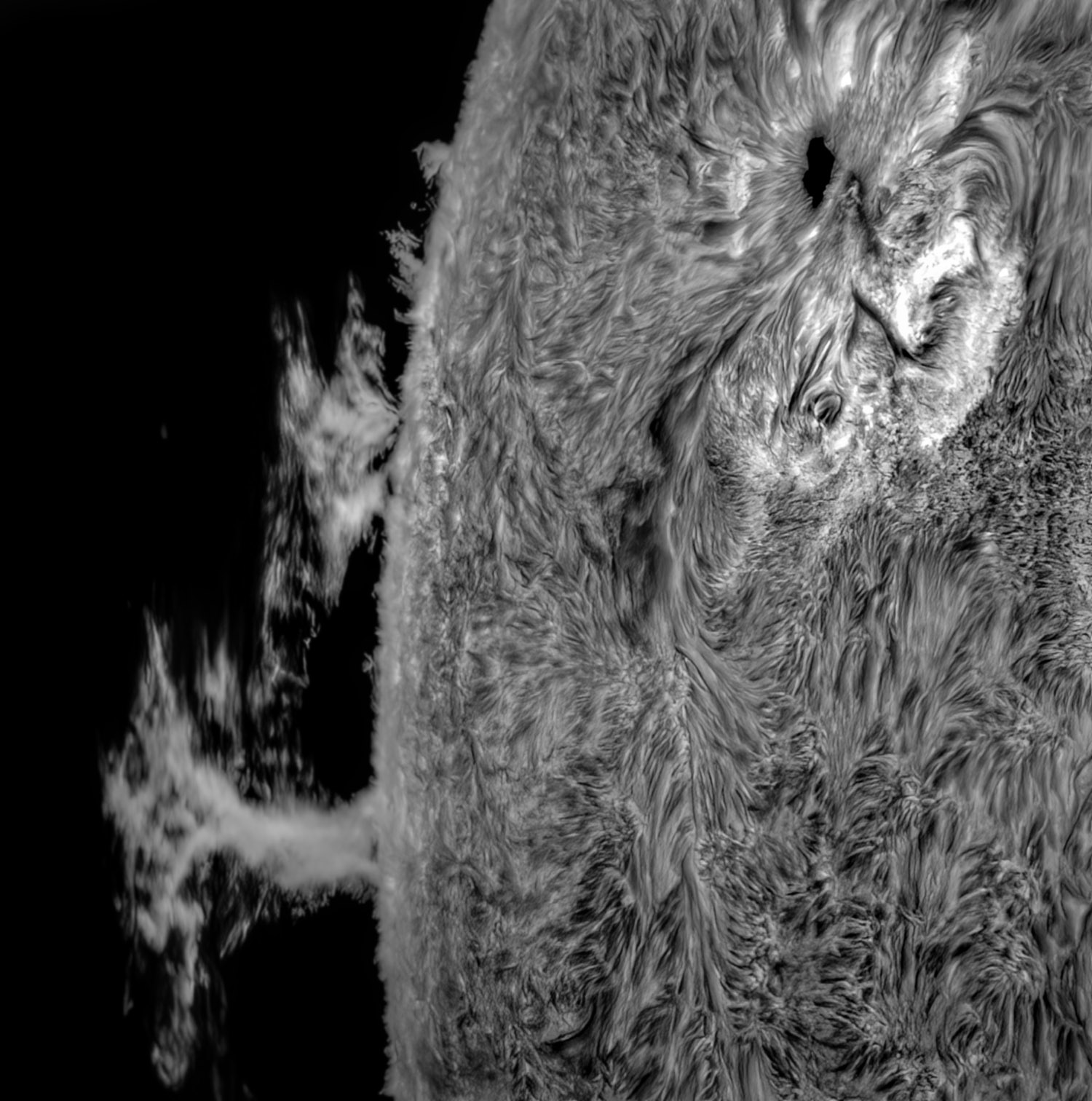 AR150/F36,DSII,IMX533 BIN1