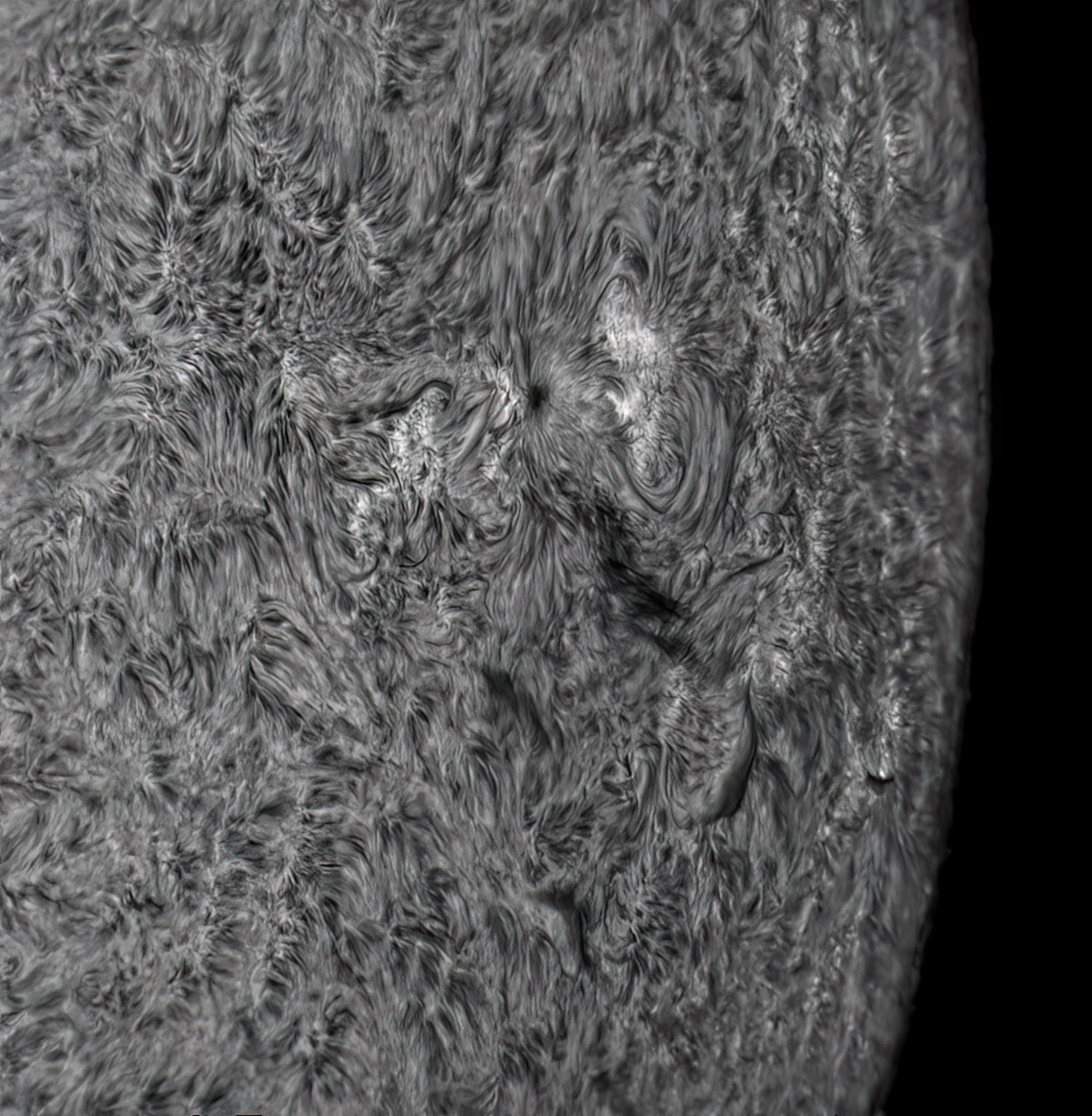 AR150/F36,DSII,IMX533 BIN1