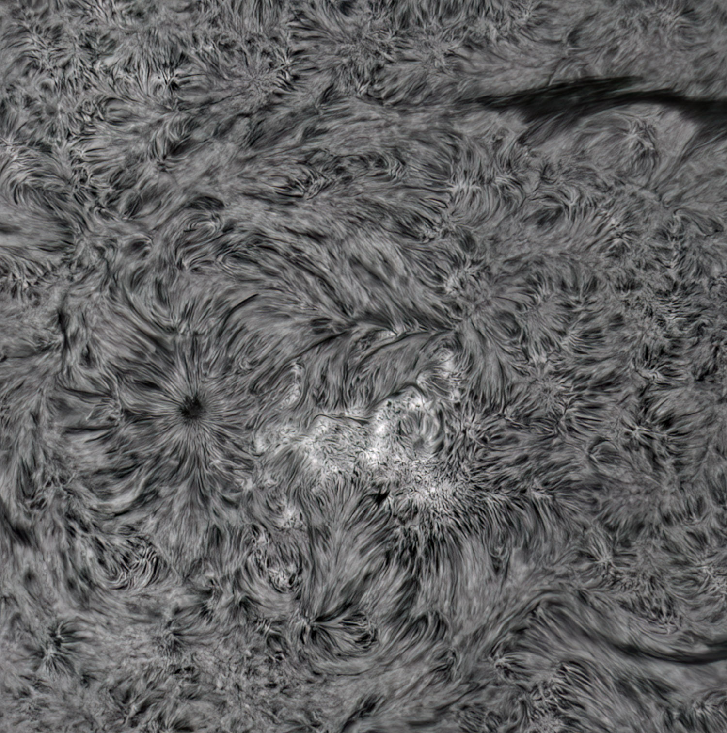 AR150/F36,DSII,IMX533 BIN1