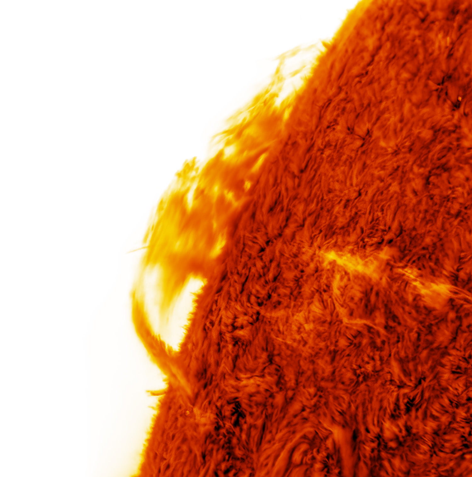 ED150/F48, IMX533M