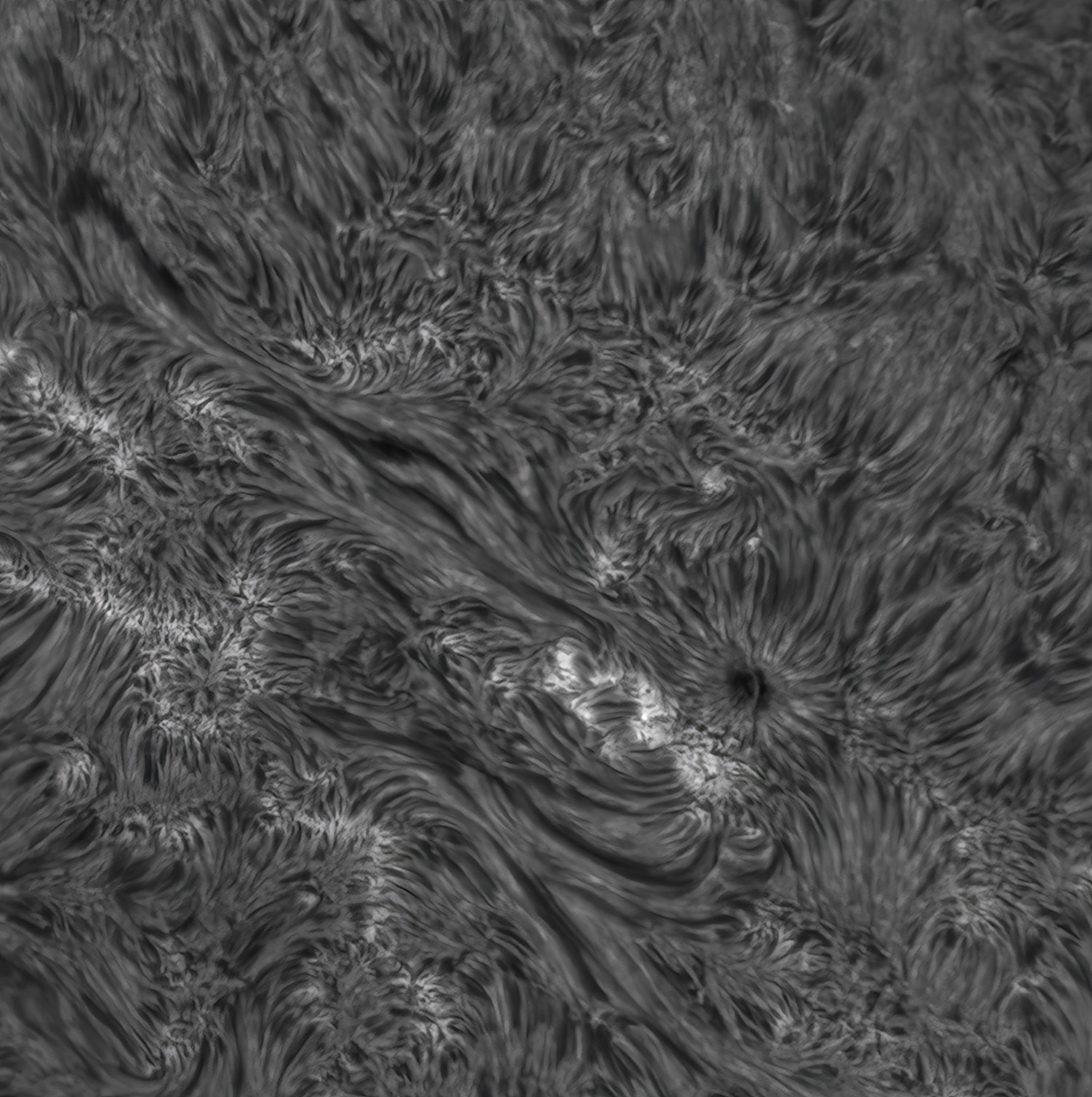 ED150/F48, IMX533M