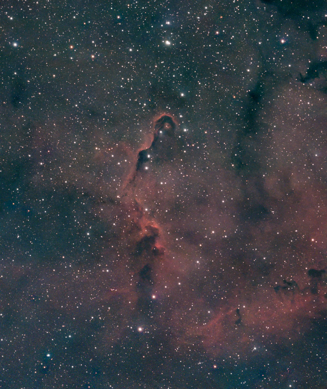 IC1396_Passengers-4.jpg